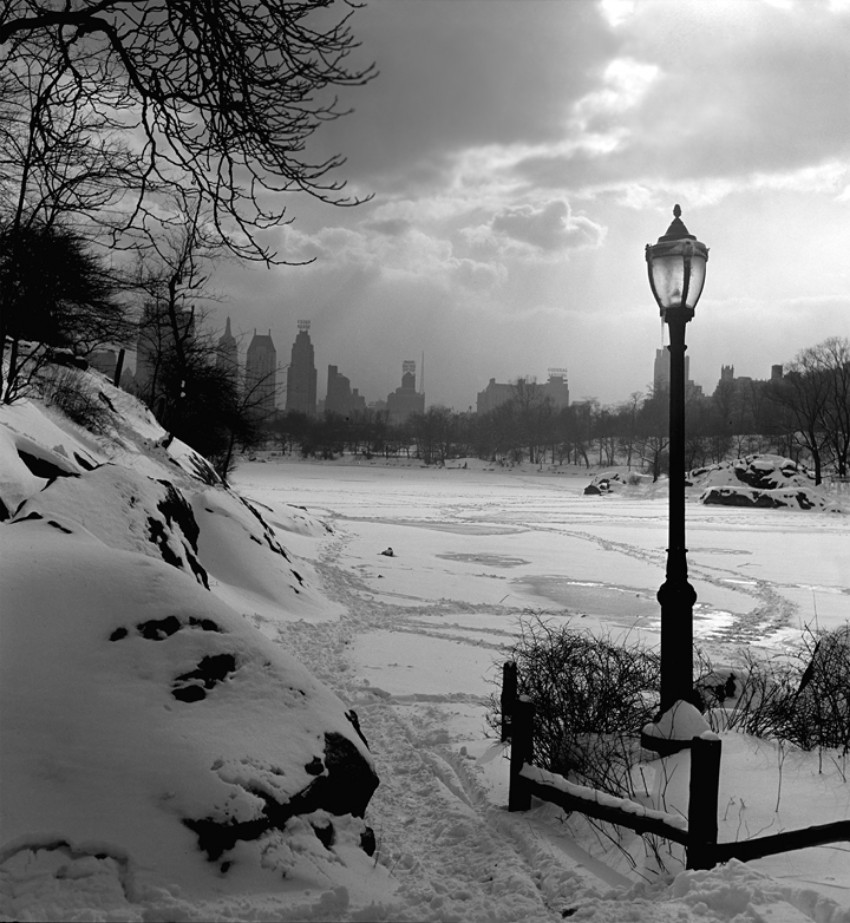 Заснеженный Центральный парк, Нью-Йорк, 1945. Фотограф Фред Стайн