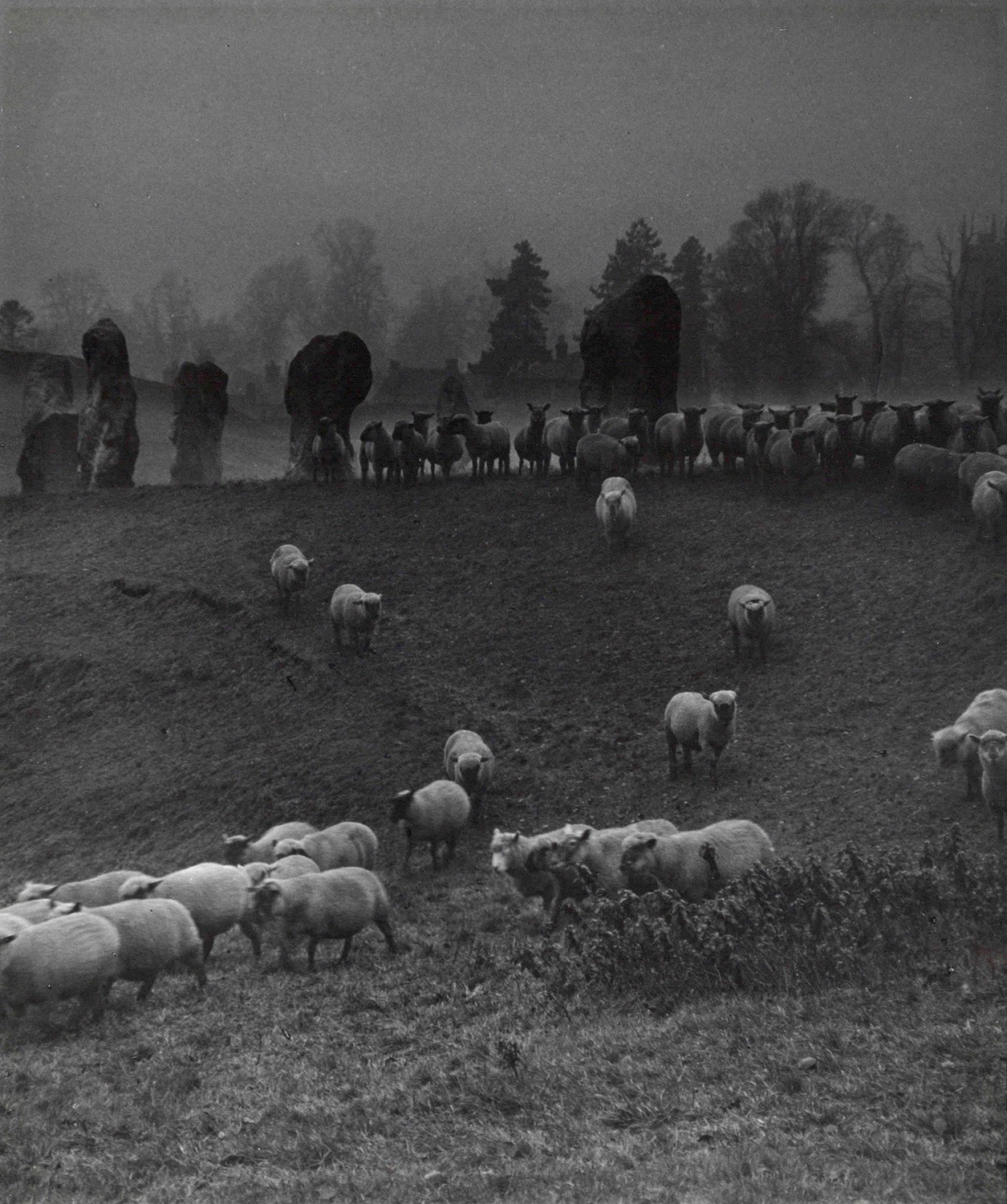 После Томаса Харди (Каменный круг, Уилтшир), 1941. Фотограф Билл Брандт