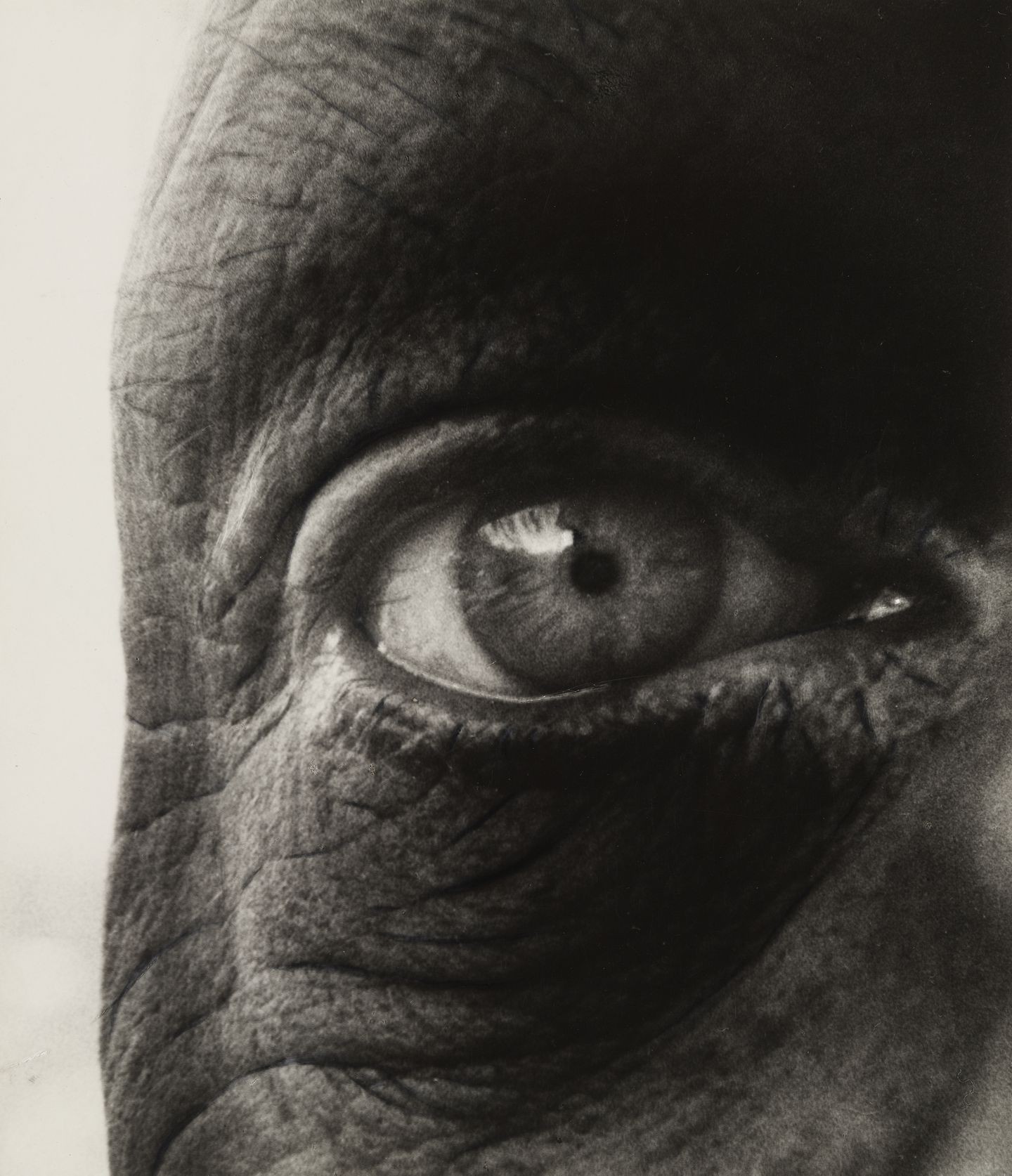 Жан Дюбюффе, 1960. Фотограф Билл Брандт