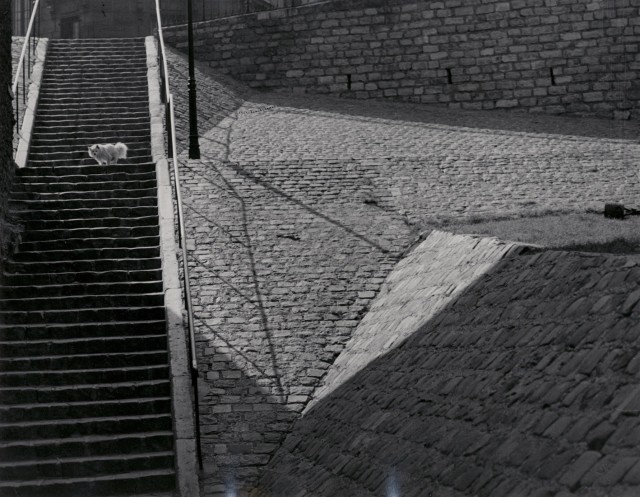 Эскалье-де-Монмартр, Париж, 1932. Фотограф Брассаи