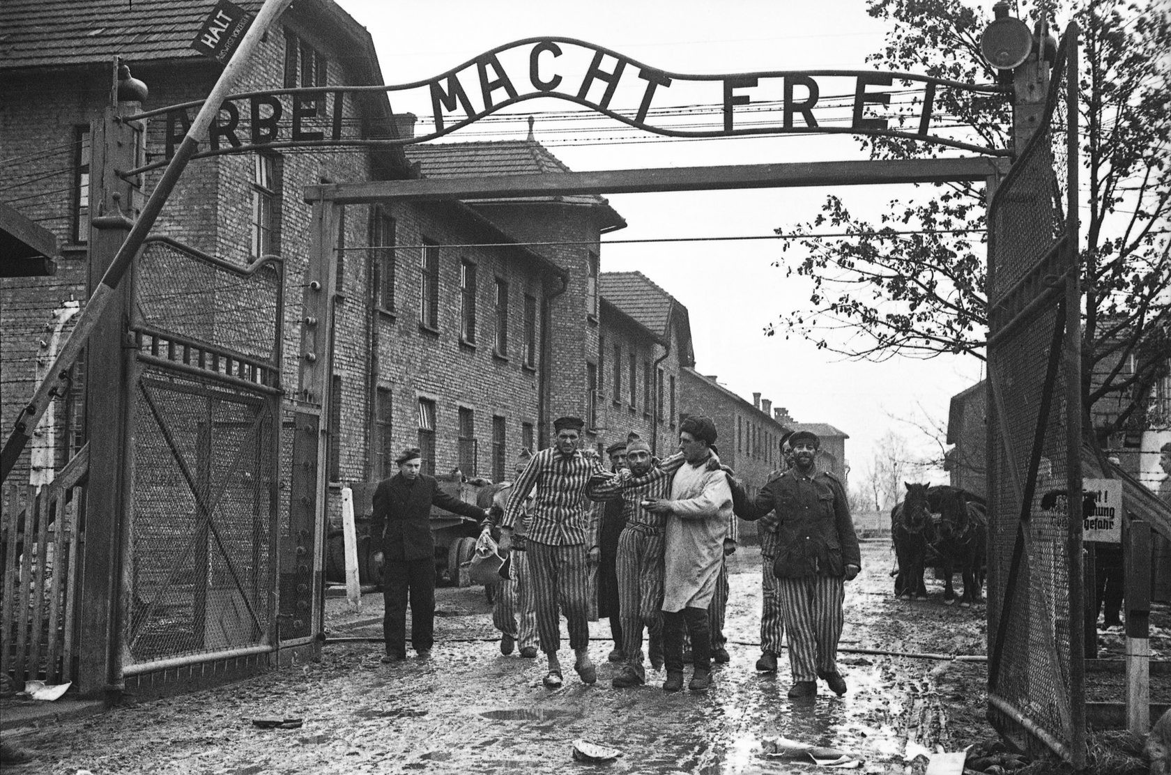 Освобождение концентрационного лагеря Освенцим, Польша, конец января 1945-го. Фотограф Ольга Игнатович