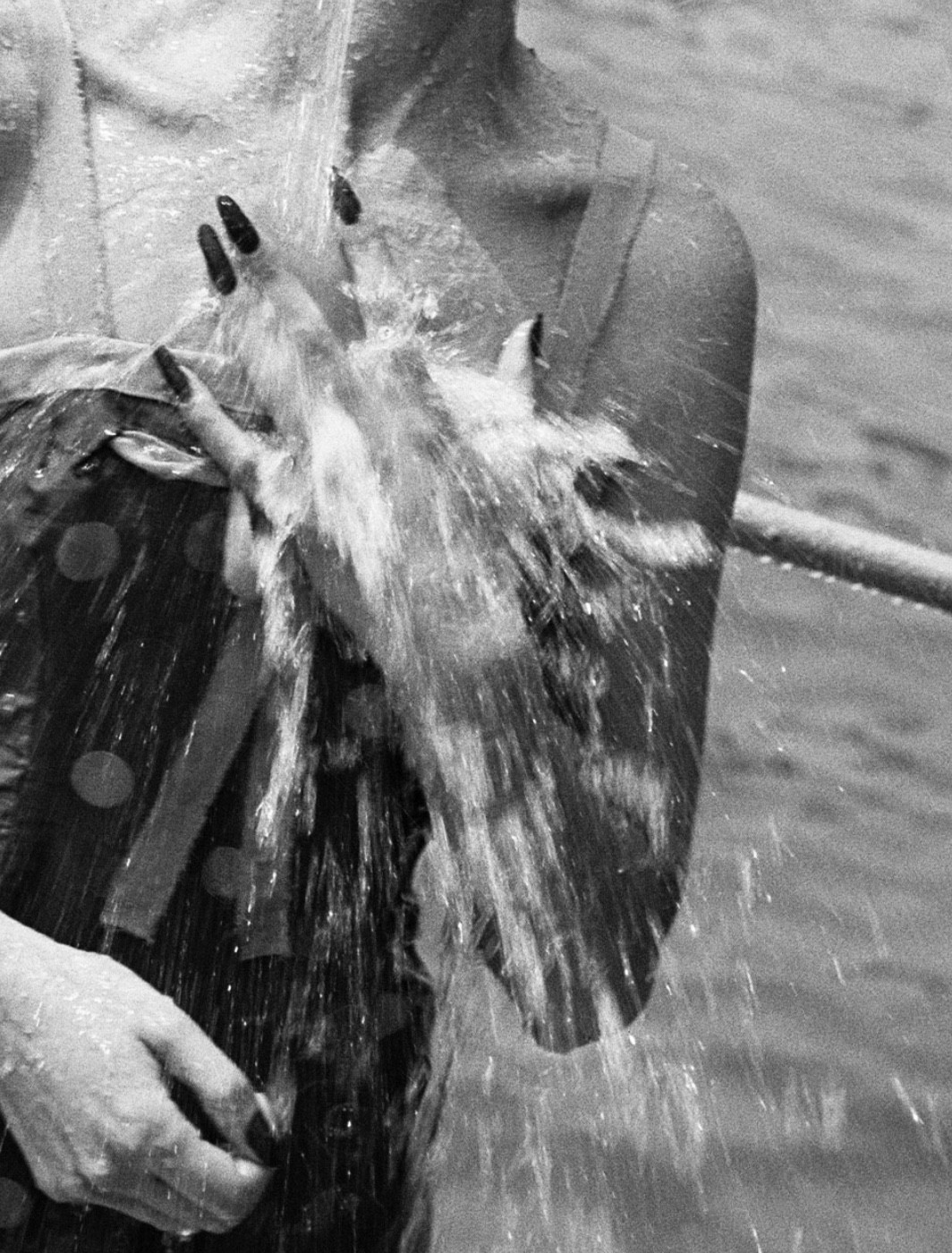 Флоретт, Лазурный берег, 1953. Фотограф Жак Анри Лартиг