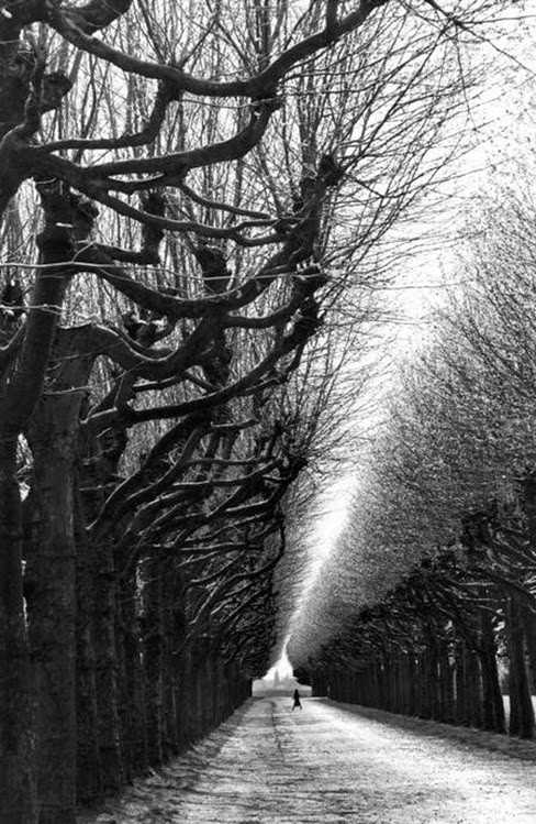 Медон, Франция, 1991. Фотограф Мартина Франк