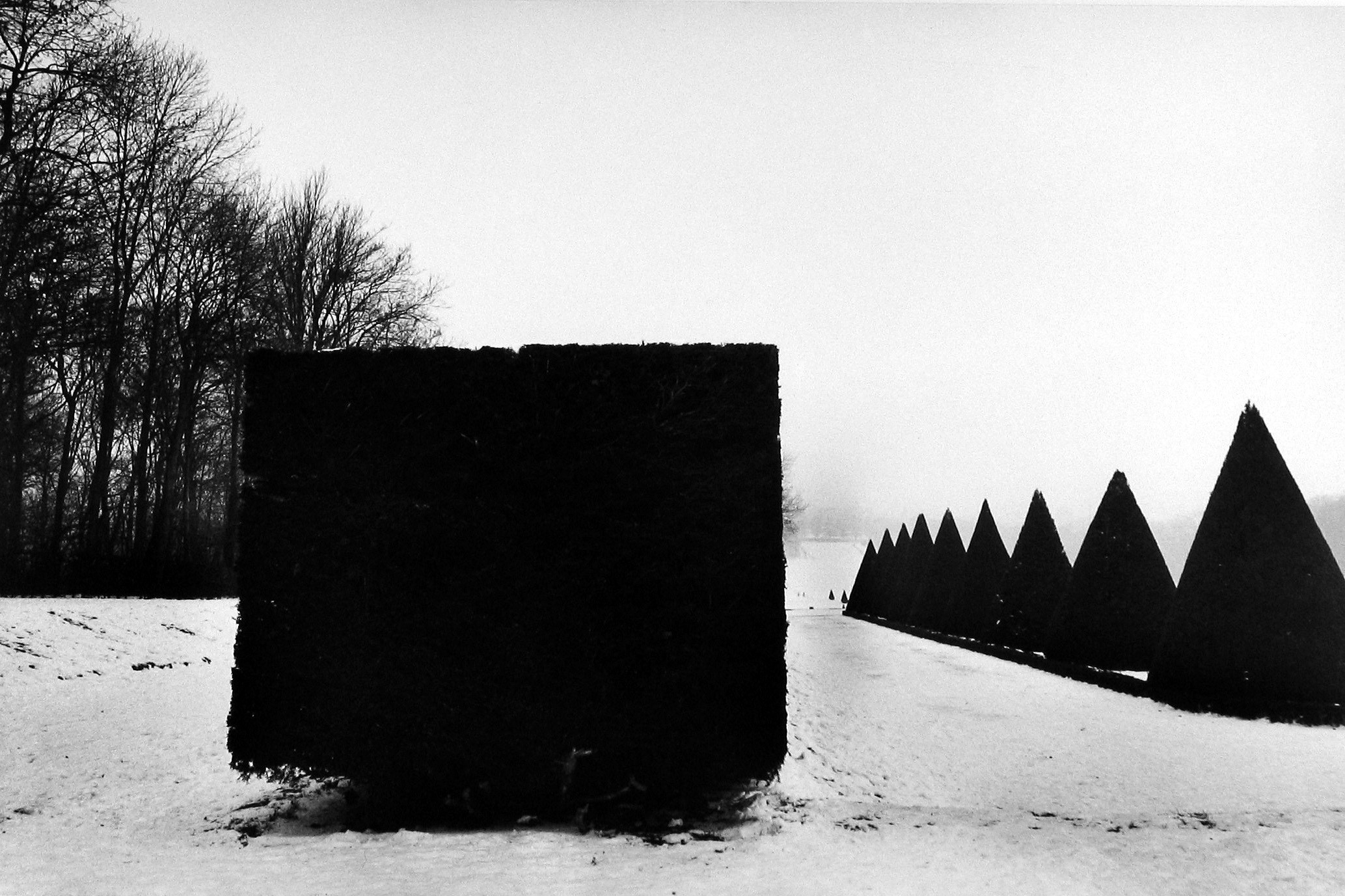 Парк в коммуне Со, департамент О-де-Сен, Франция, 1987. Фотограф Мартина Франк