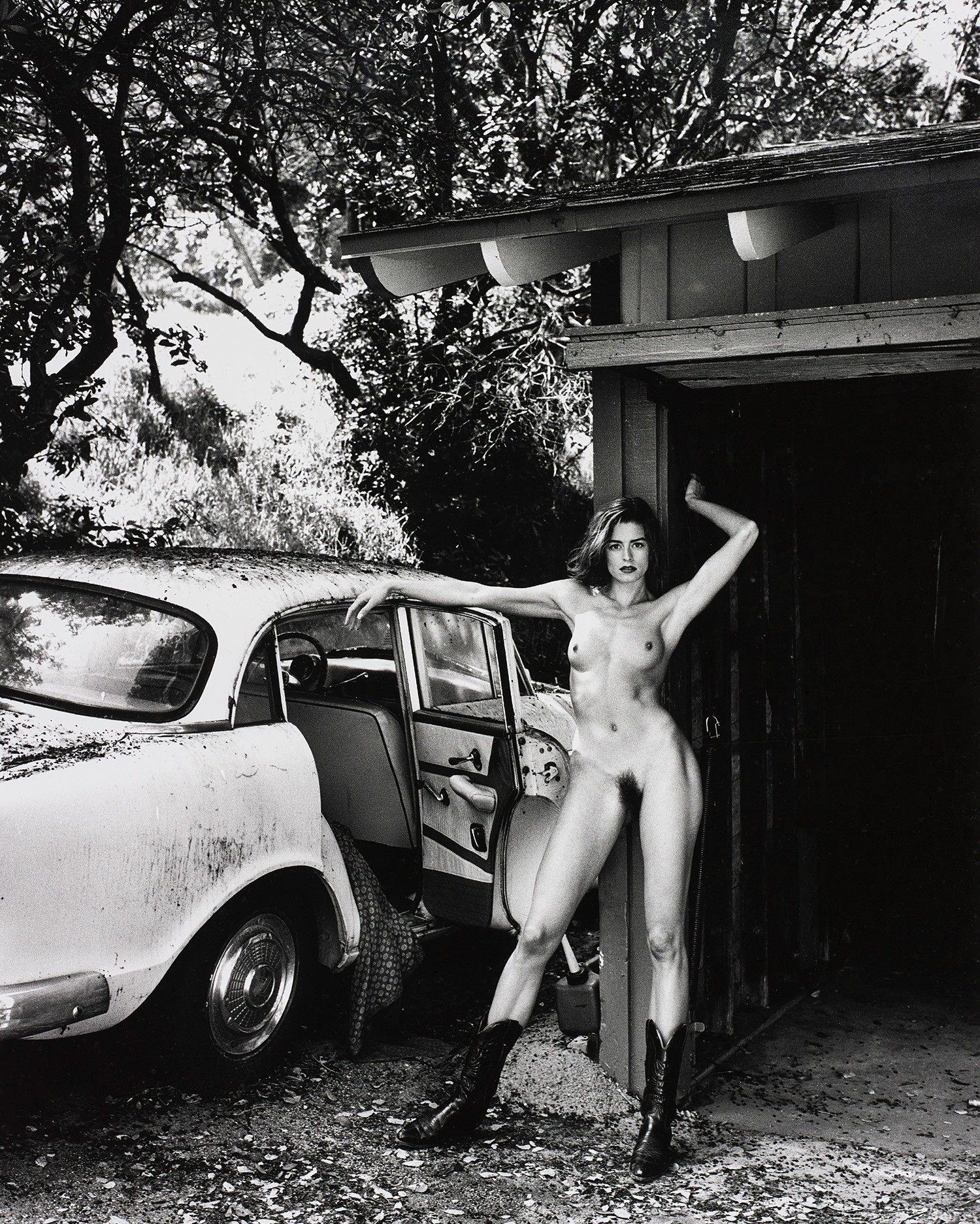 Из серии Domestic Nude, Лос-Анджелес, 1992. Фотограф Хельмут Ньютон