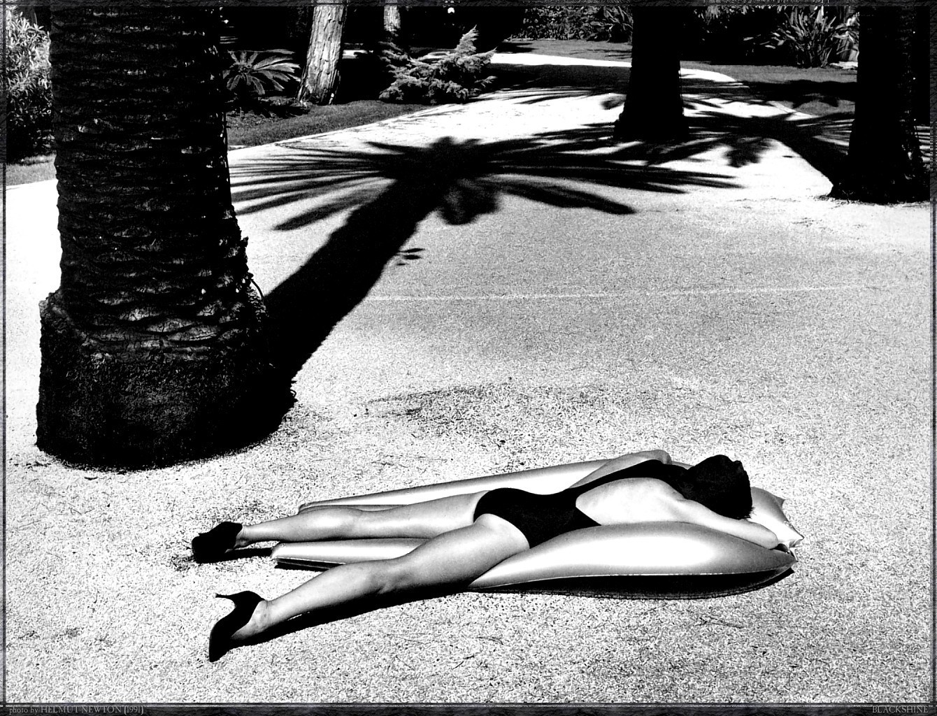 Модель, лежащая рядом с пальмой, 1991. Фотограф Хельмут Ньютон
