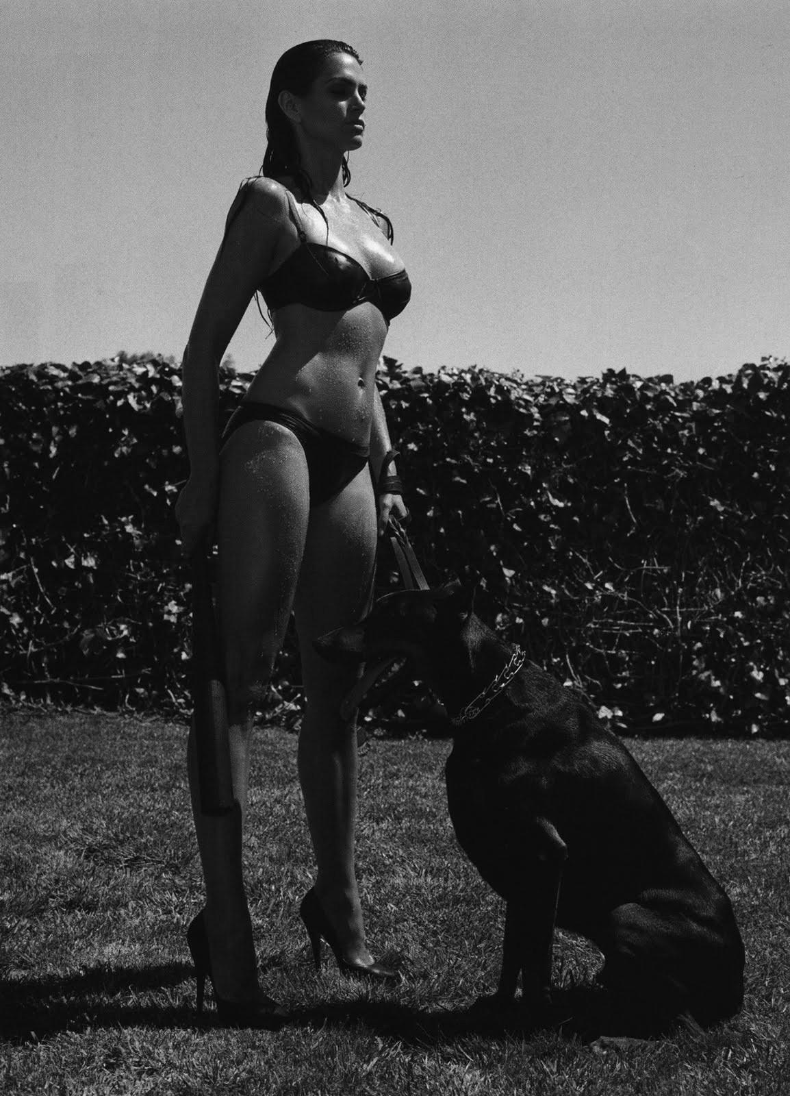 Синди Кроуфорд с собакой. Фотограф Хельмут Ньютон