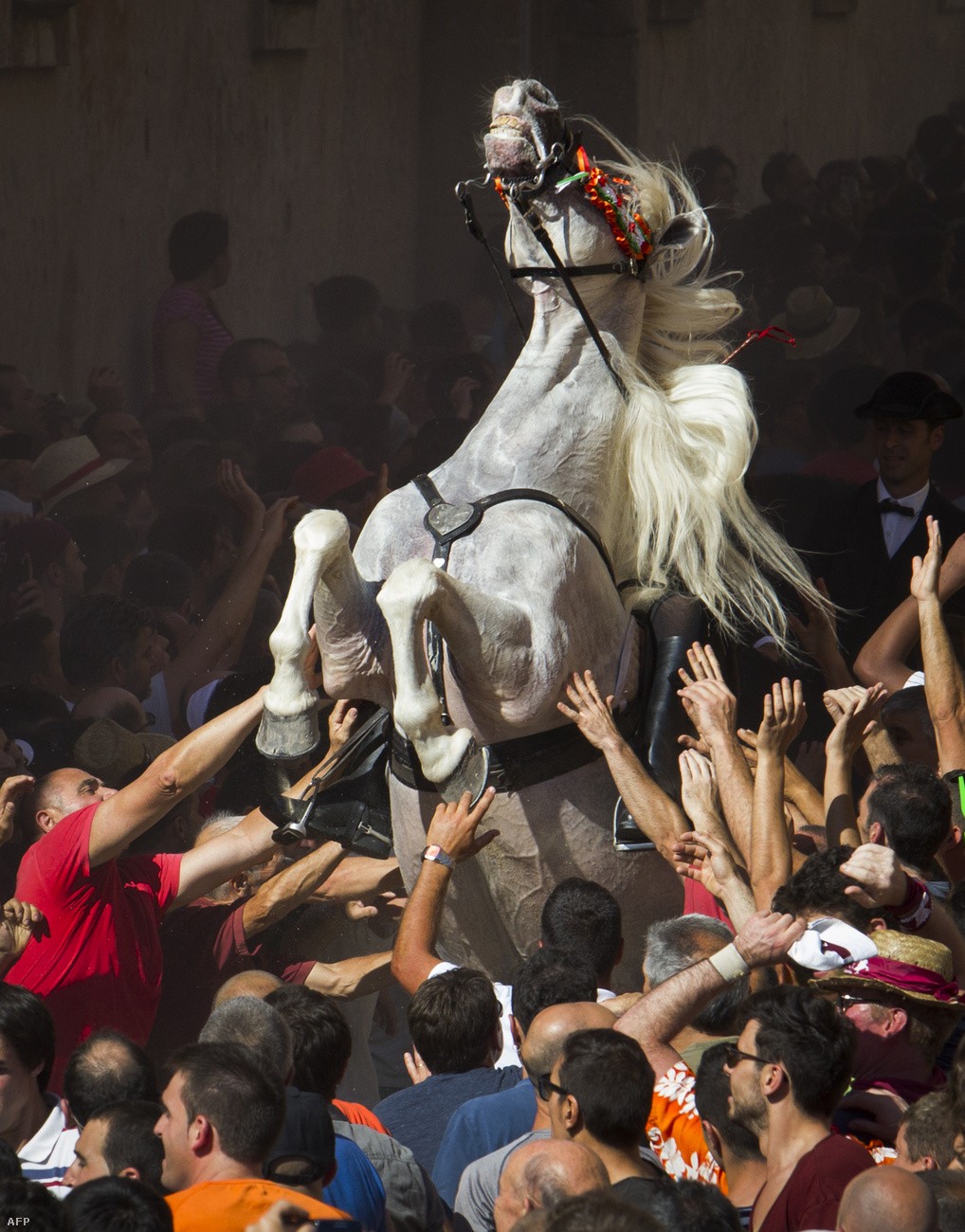 Лошадь, вставшая на дыбы в толпе. Автор wytworny