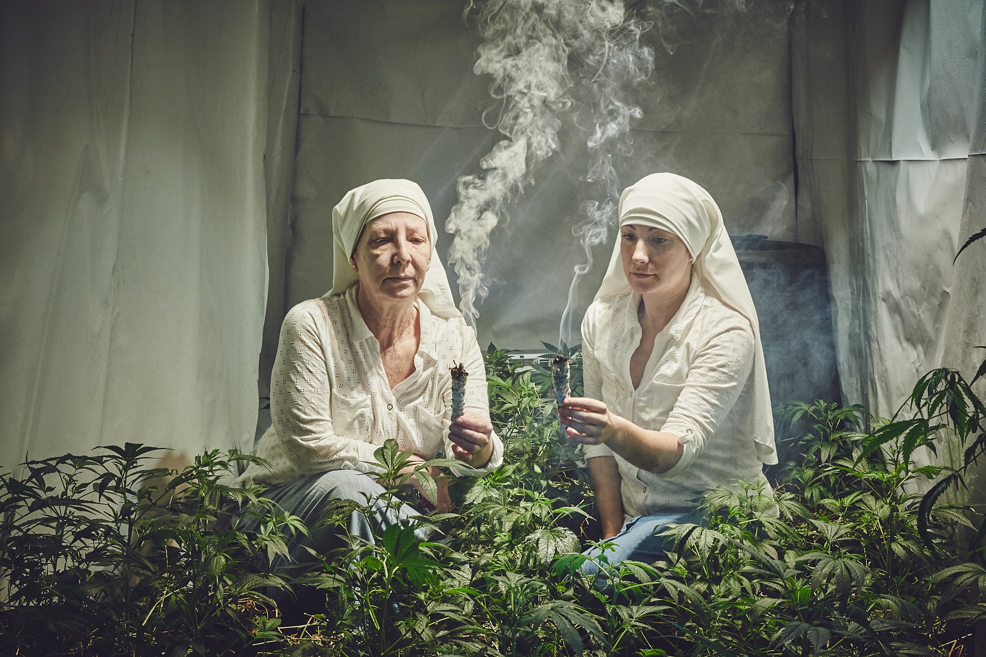 «Монахини, выращивающие коноплю в Калифорнии». Авторы Шон Кроуфорд и Джон Дюбуа