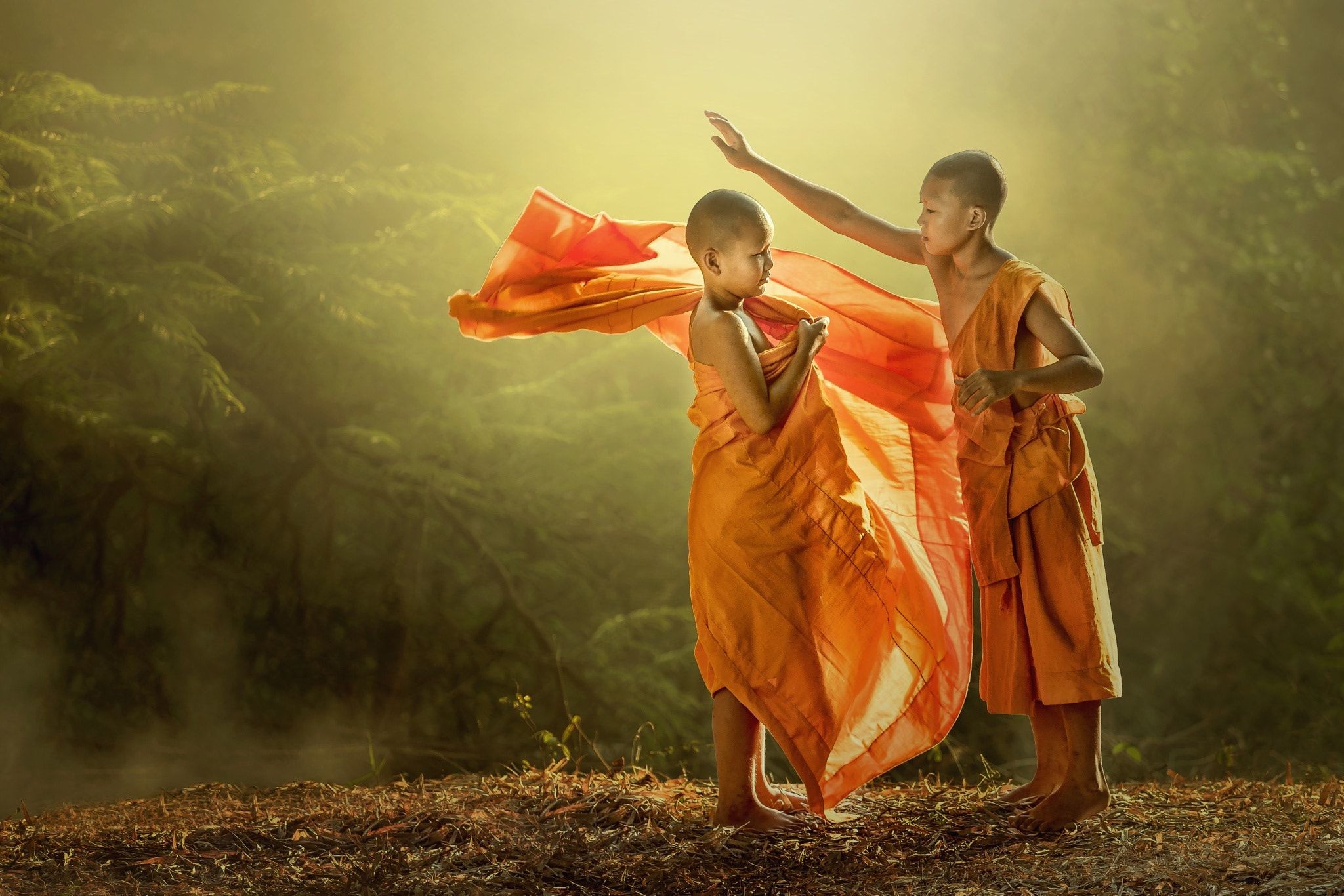 Одевание юных буддийских монахов в Таиланде. Фотограф Jakkree Thampitakkul