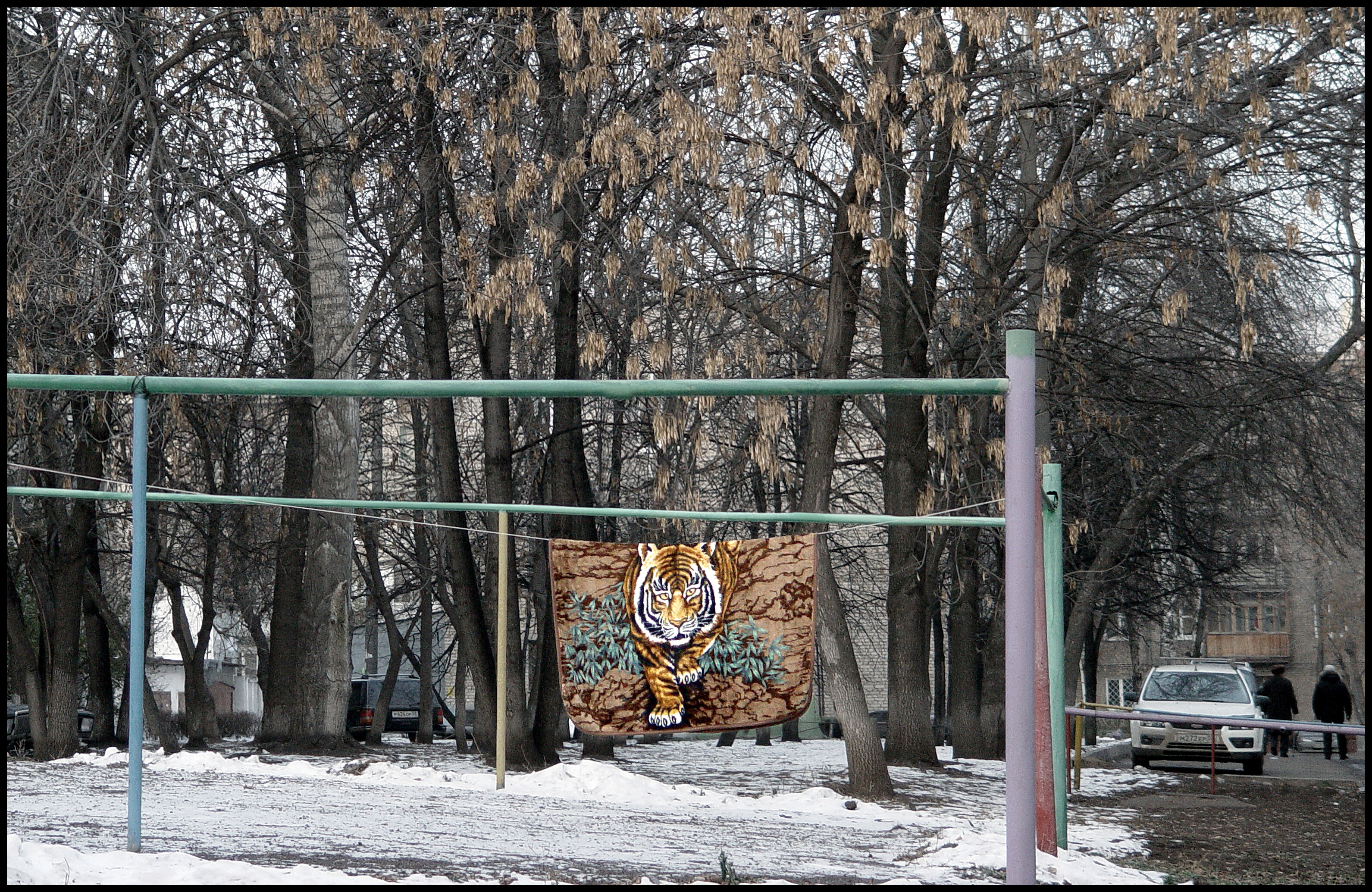 Заблудился