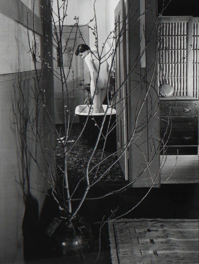 Ванна-2, 1952. Фотограф Имоджен Каннингем