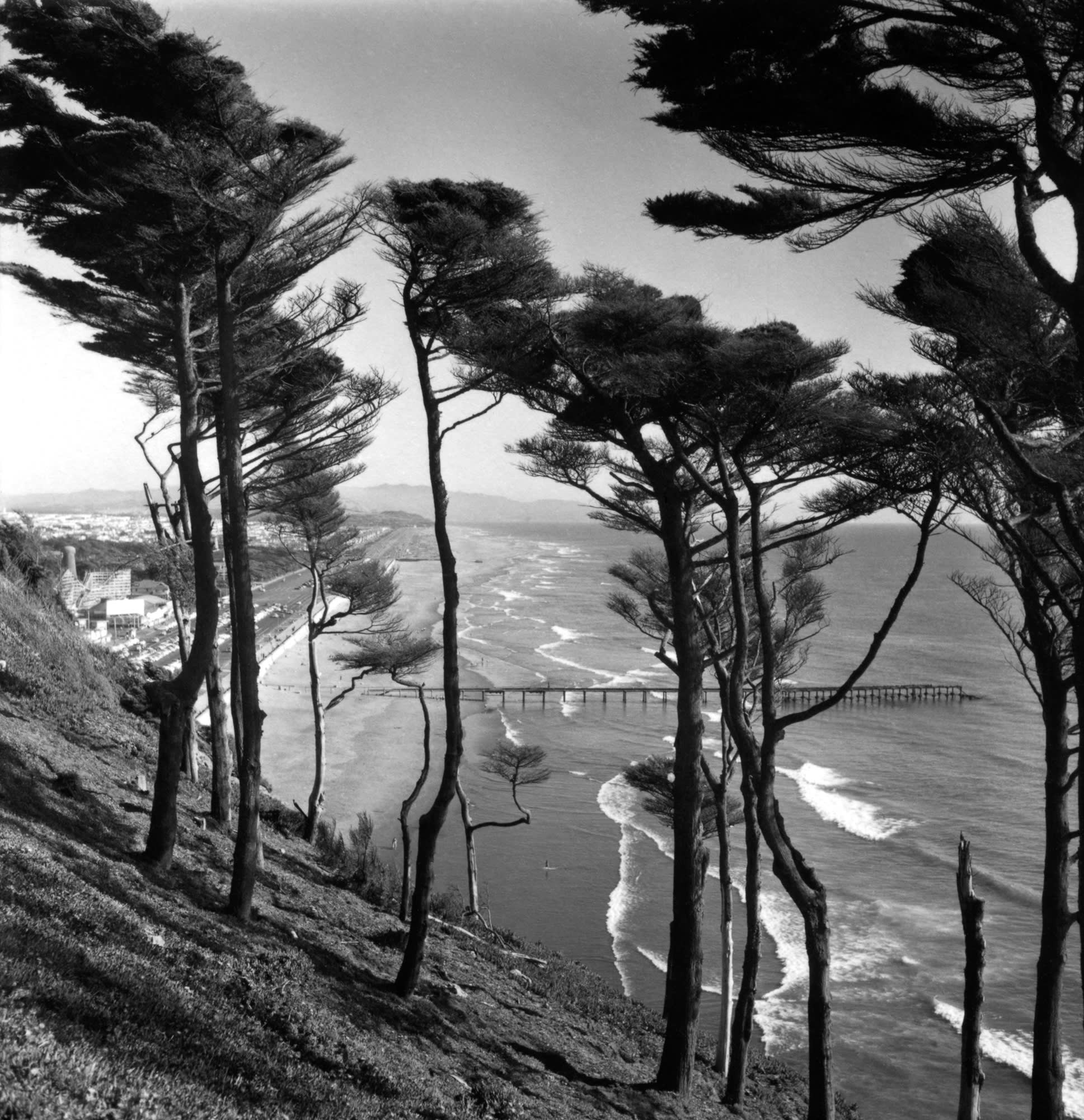 Побережье Сан-Франциско, 1955. Фотограф Имоджен Каннингем
