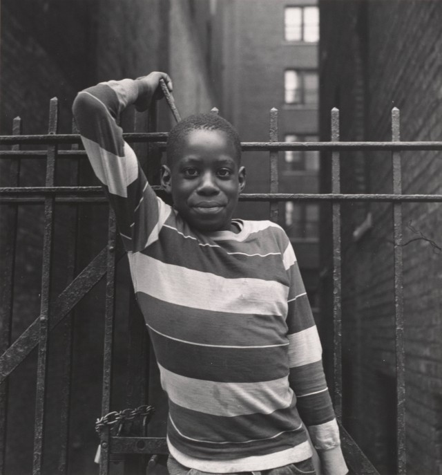 Мальчик в Нью-Йорке, 1956. Фотограф Имоджен Каннингем