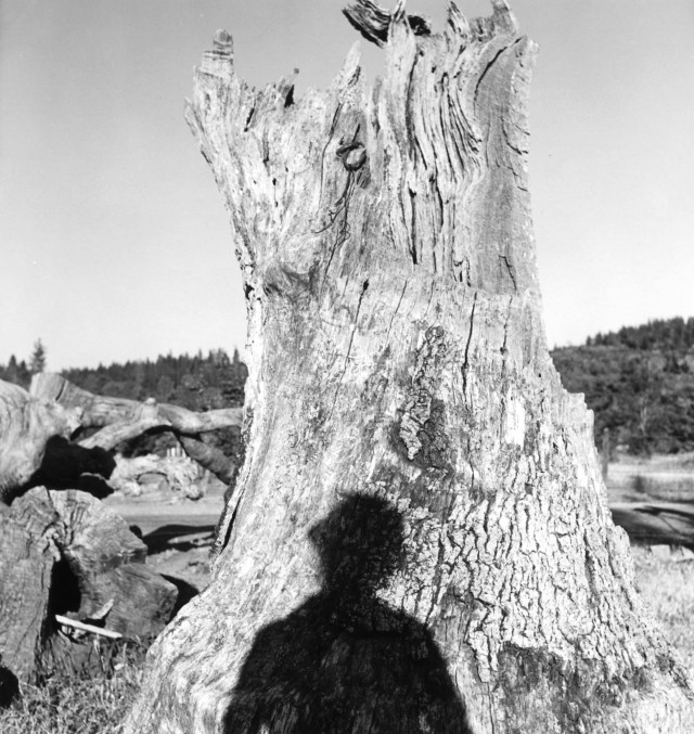 Автопортрет в Грэйс-Вэлли, 1946. Фотограф Имоджен Каннингем