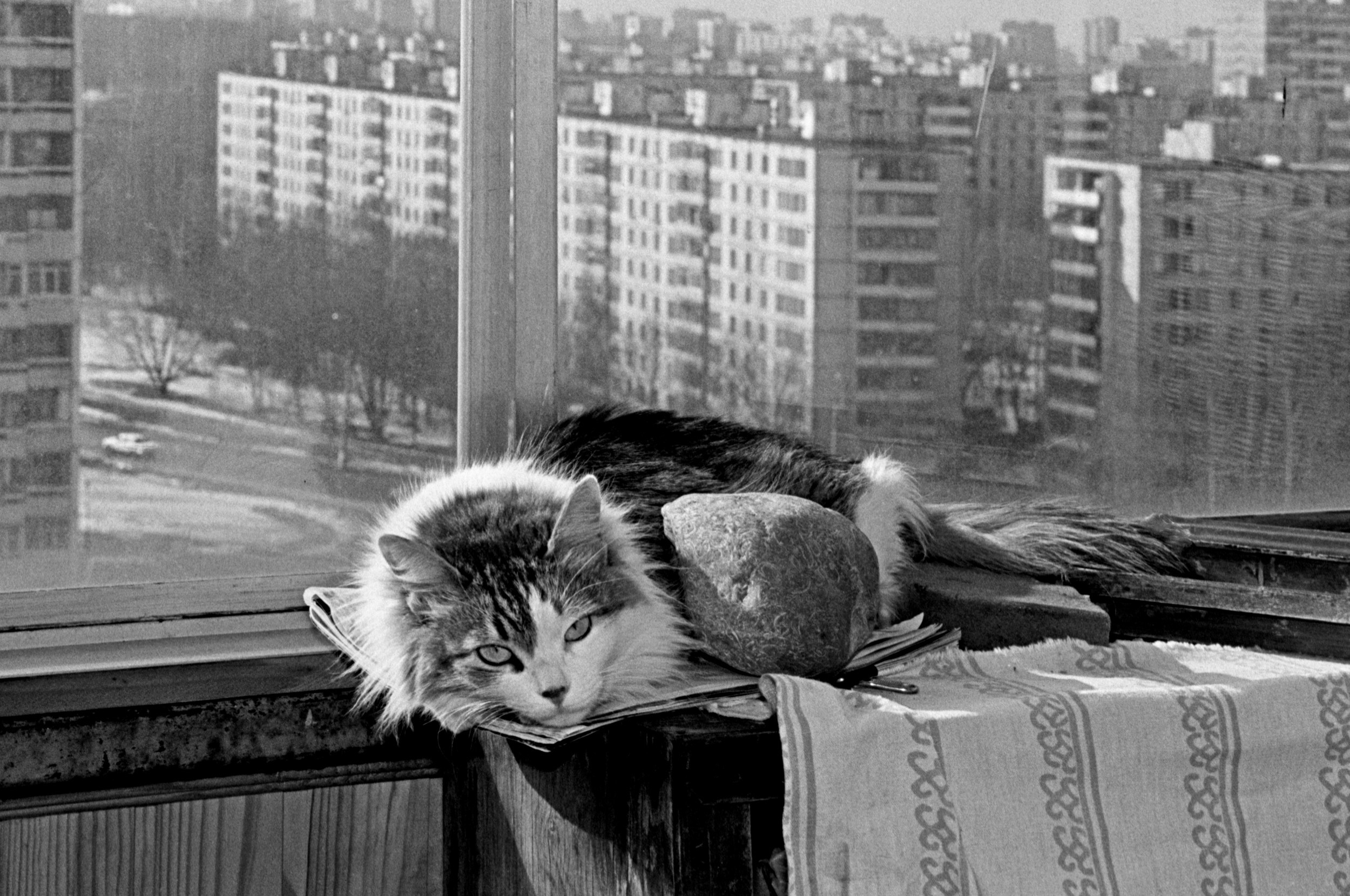 Шарлотта, Москва, 1998. Фотограф Игорь Пальмин