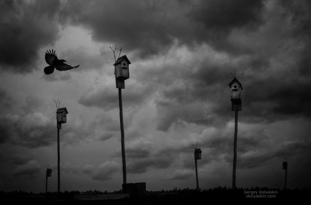 Birdhouses. Autumn emptiness. Forgotten villages from the cycle. Photographer Sergey Kolyaskin