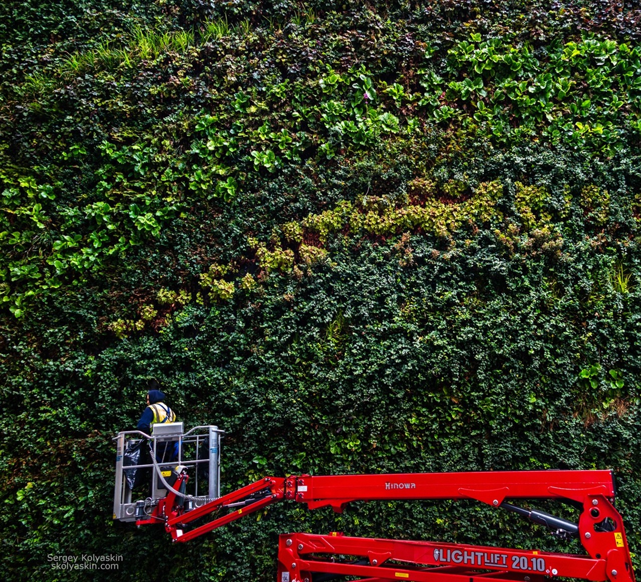 Зеленая стена, Лондон. Фотограф Сергей Коляскин
