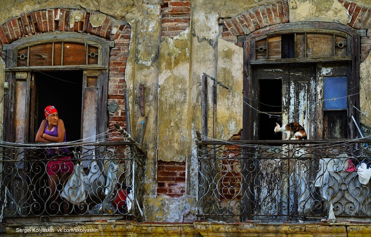 Человек и кошка, Куба. Фотограф Сергей Коляскин