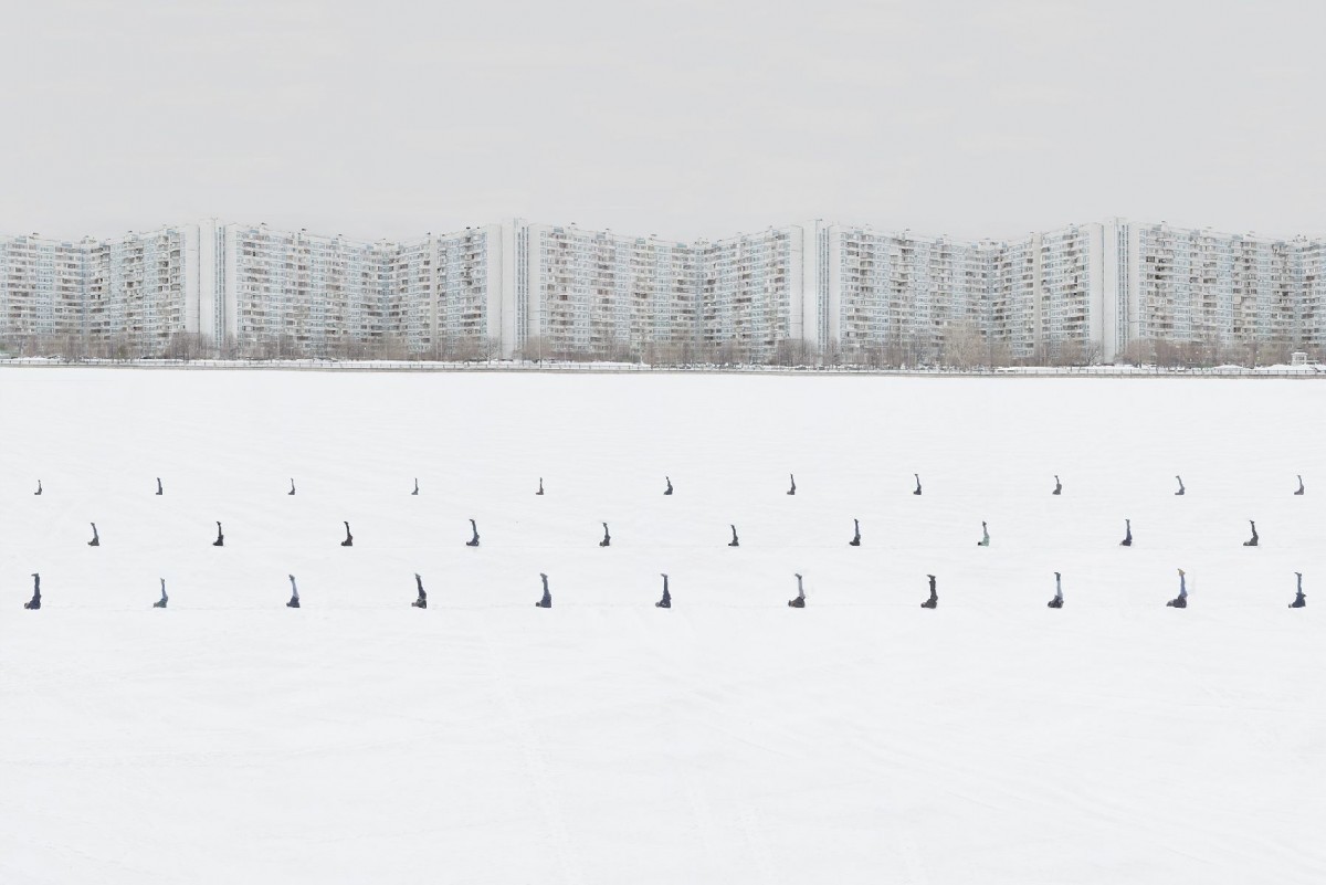 Опытное поле, 2017. Фотограф Данила Ткаченко  