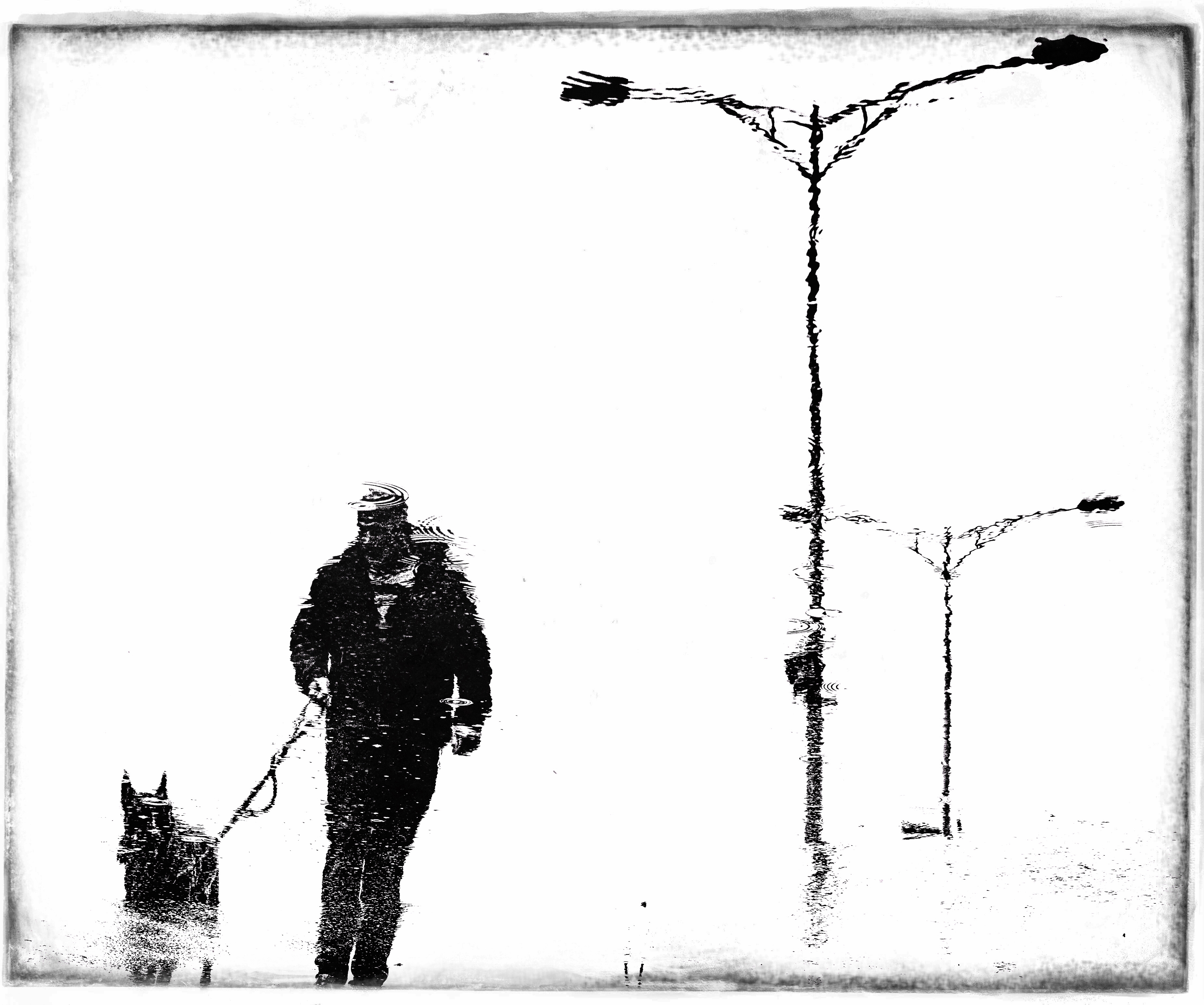 Ferhad Turan — фотоистория — 30 ноября 2024 года