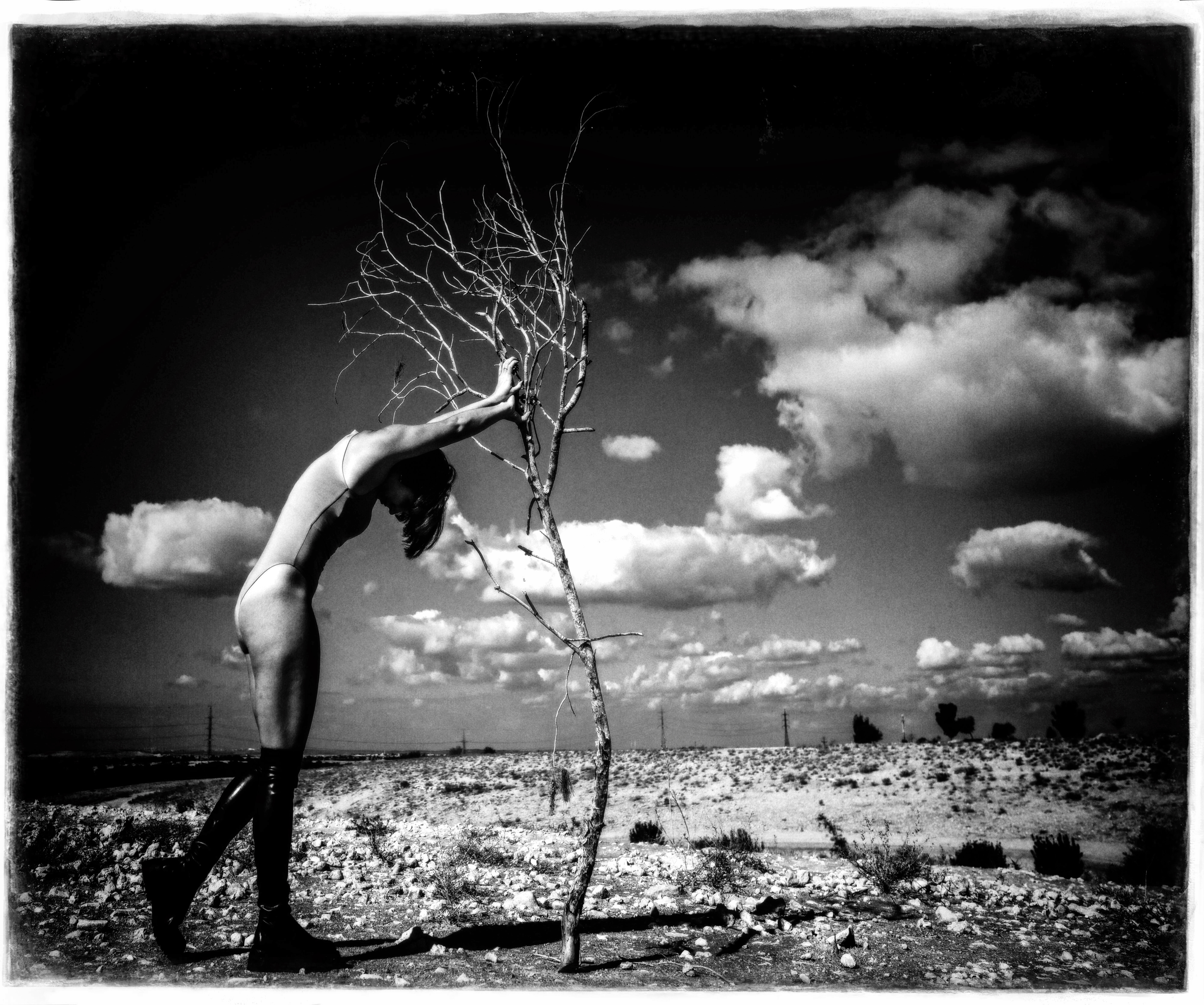 Ferhad Turan — фотоистория — 30 ноября 2024 года