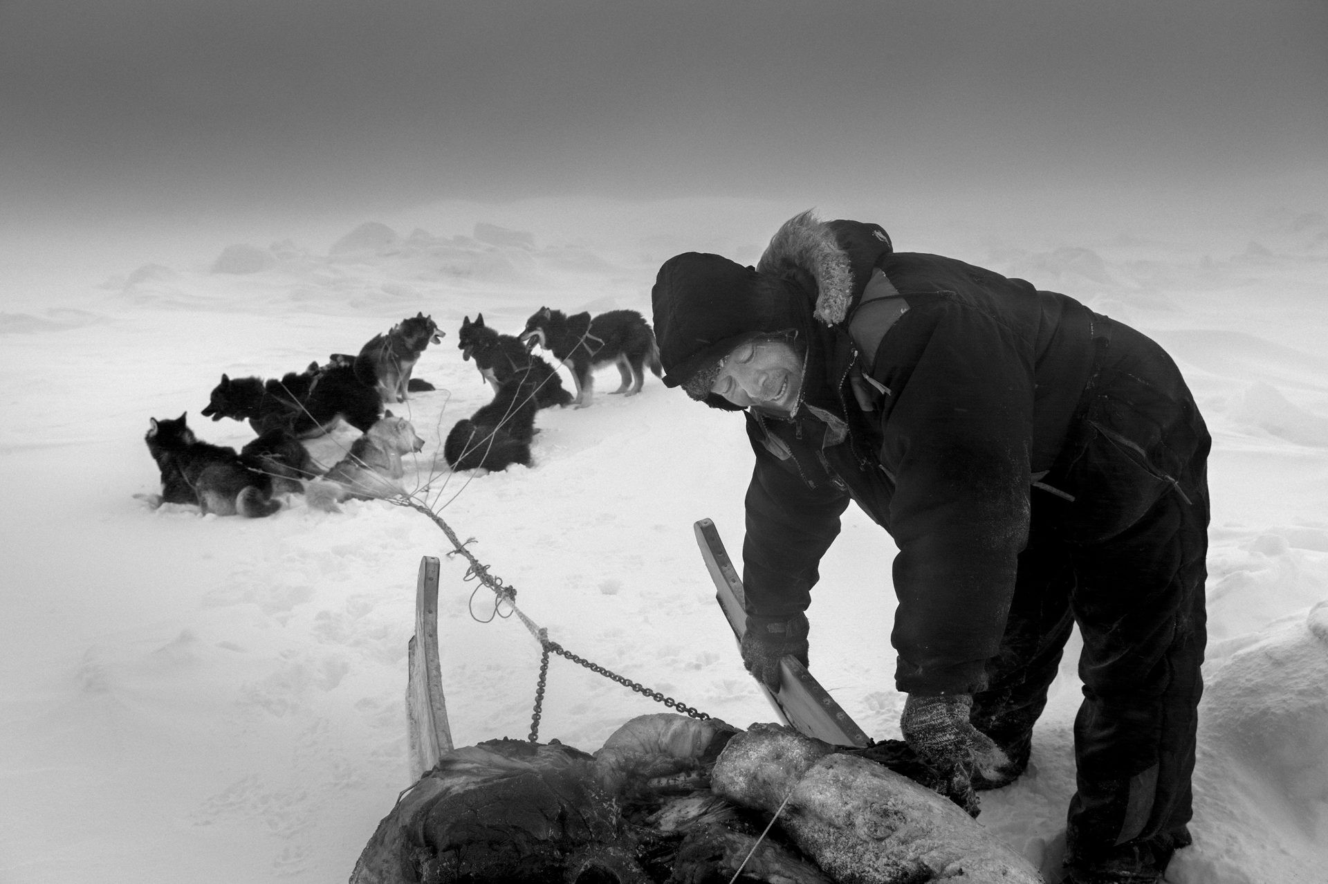 Последние дни Арктики. Фотограф Рагнар Аксельссон 