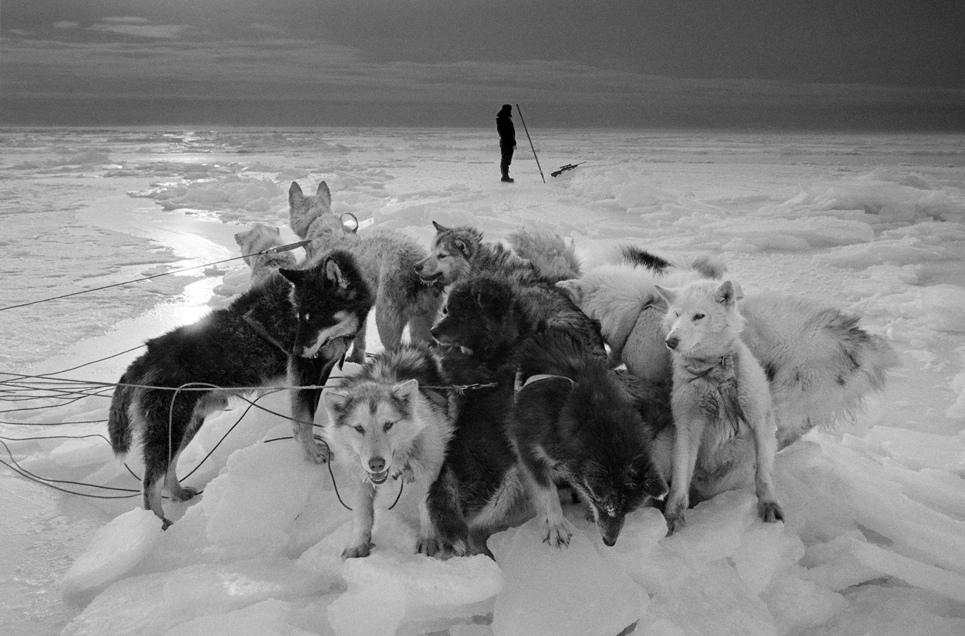 Последние дни Арктики. Фотограф Рагнар Аксельссон 