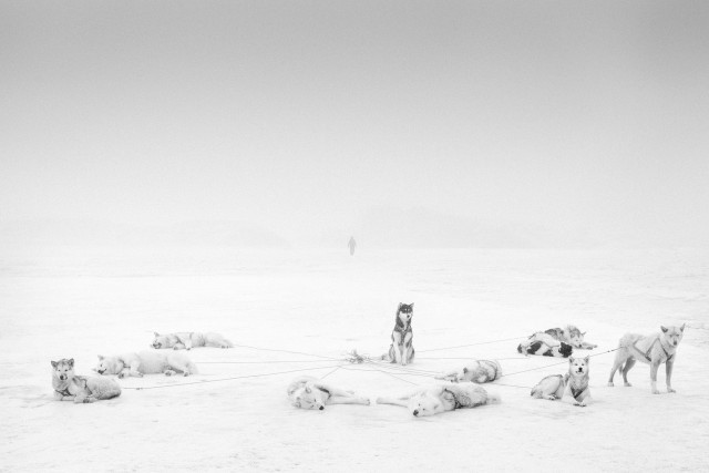 Герои Арктики. Фотограф Рагнар Аксельссон 