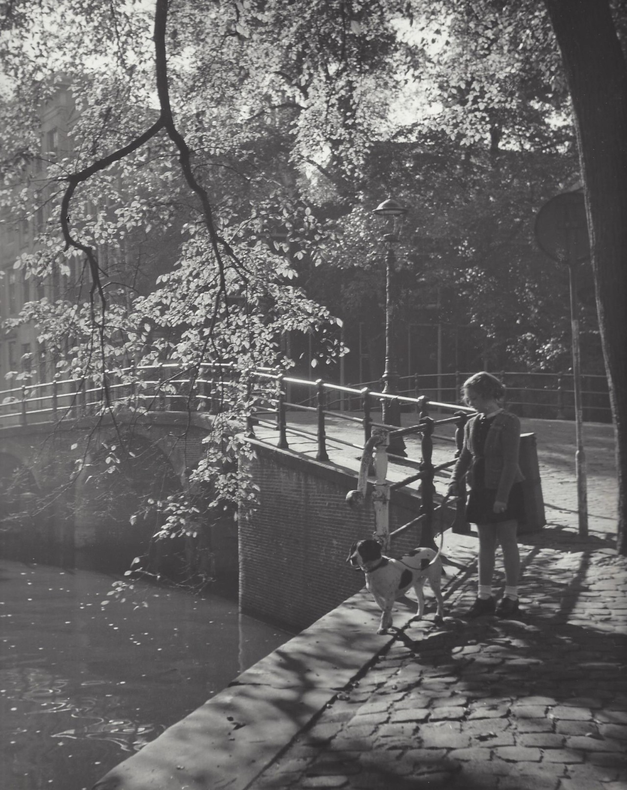 Девочка с собакой, Амстердам, 1950-е. Фотограф Кис Шерер