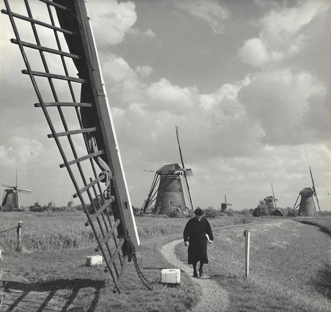Нидерланды, 1950-е. Фотограф Кис Шерер