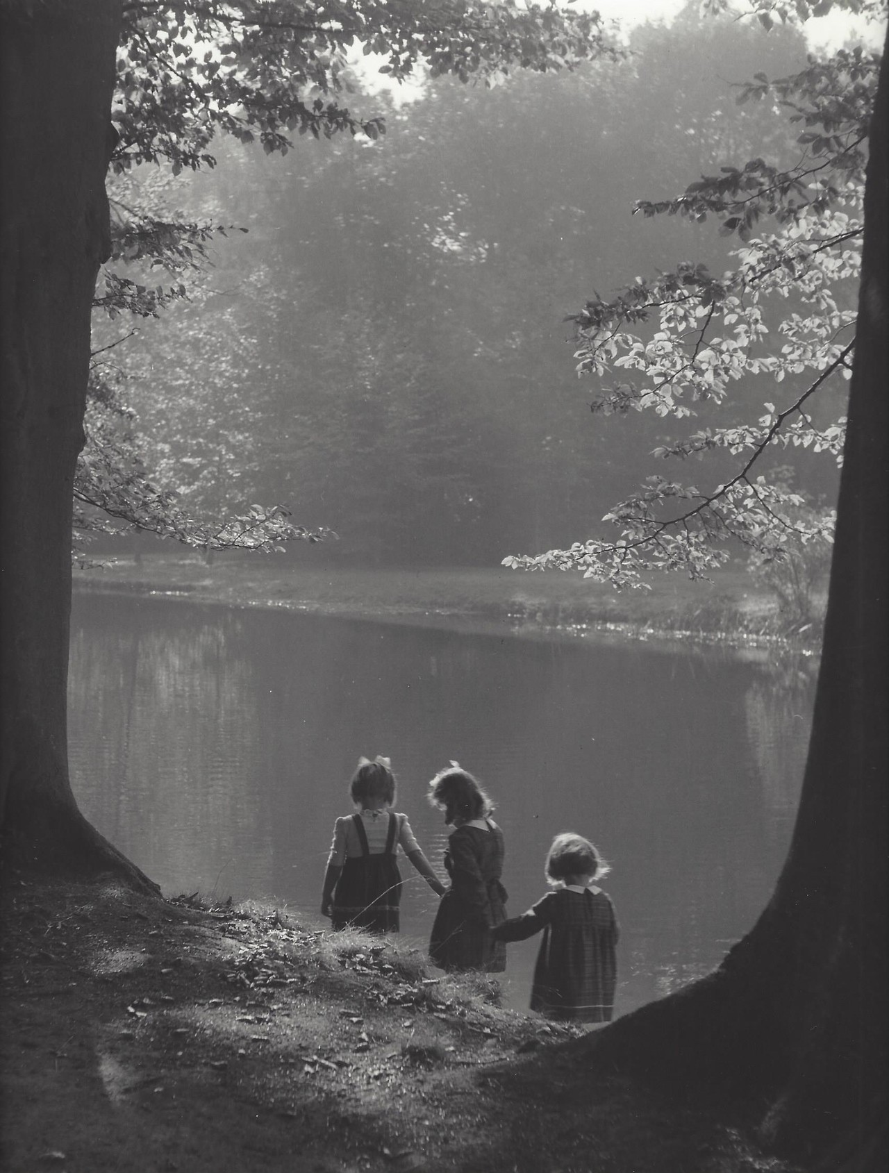Окрестности Дуурстеде, Нидерланды, 1950-е. Фотограф Кис Шерер