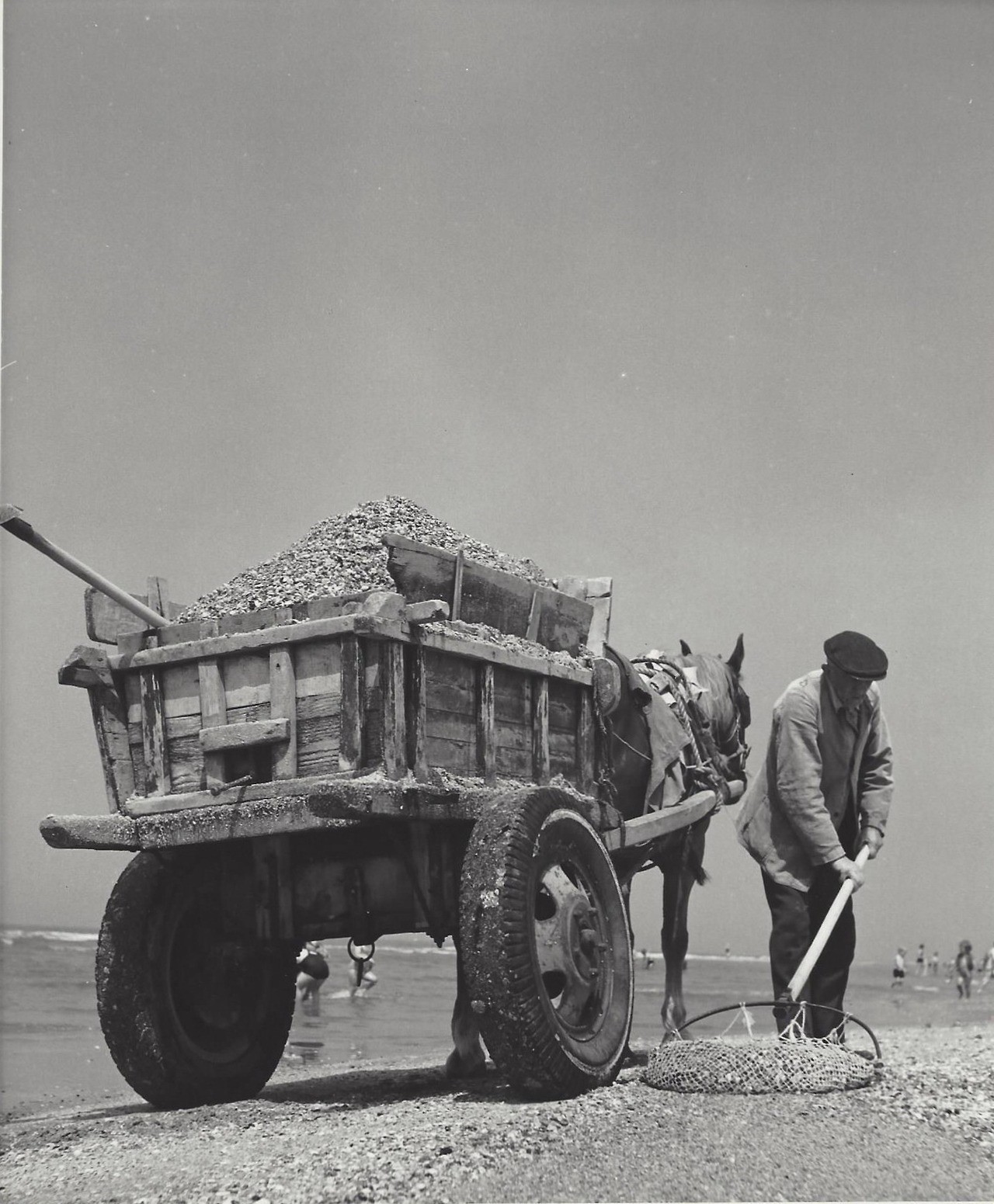 Собиратель ракушек, Нидерланды, 1949–1952. Фотограф Кис Шерер