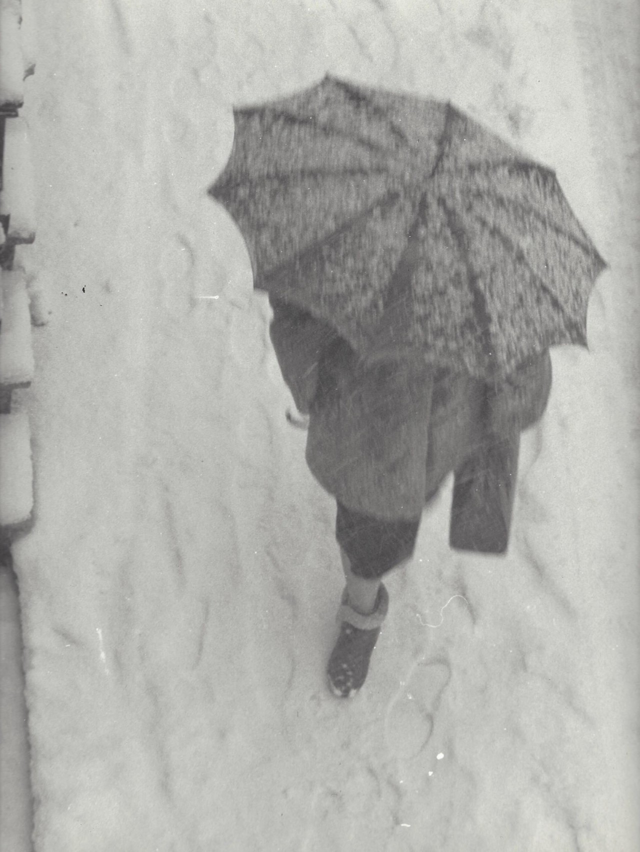 Женщина в снегопад, Амстердам, 1950-е. Фотограф Кис Шерер