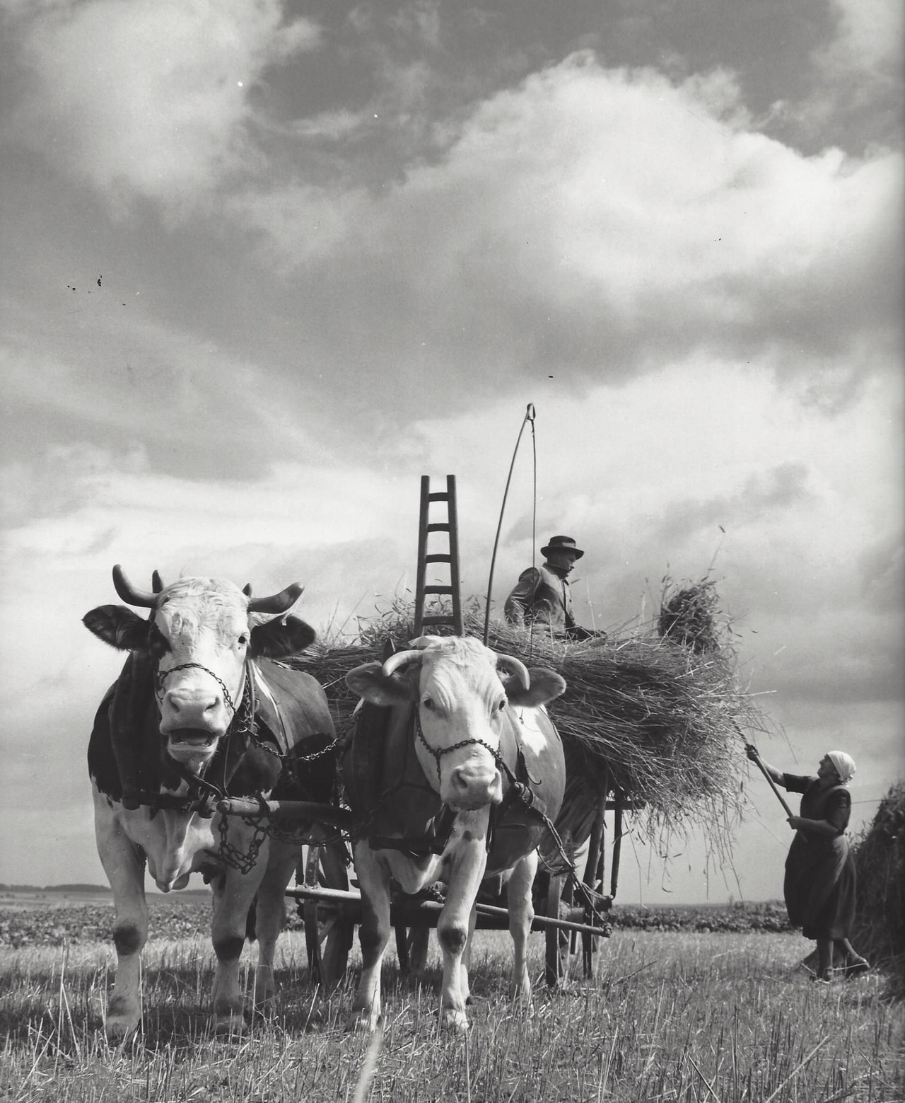 Фермеры, Германия, 1960-е. Фотограф Кис Шерер