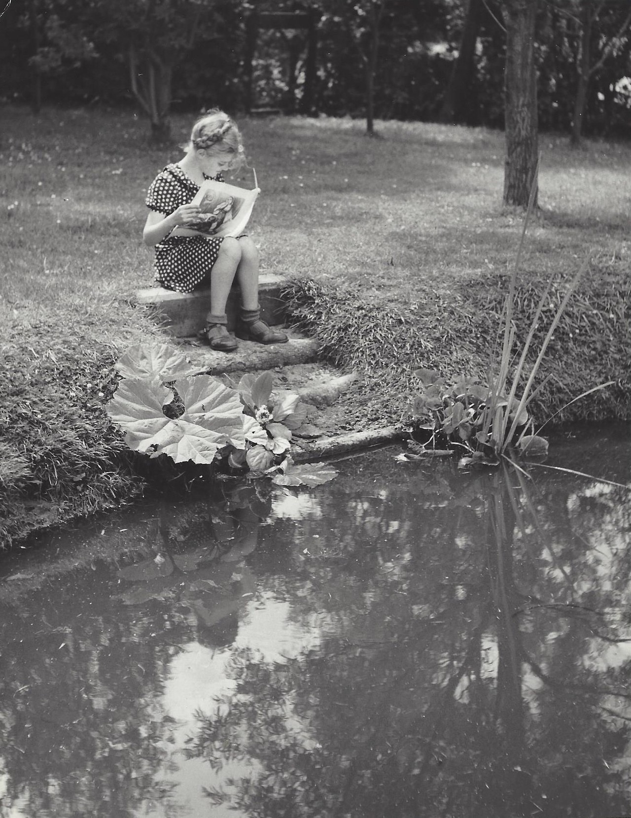 Читающая девочка, Нидерланды, 1950-е. Фотограф Кис Шерер