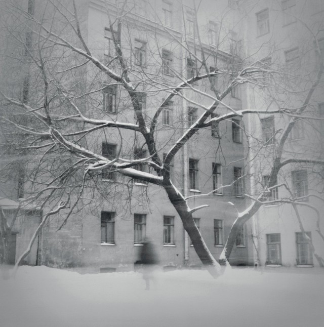 Дерево в снегу, 1997. Санкт-Петербург. Фотограф Алексей Титаренко