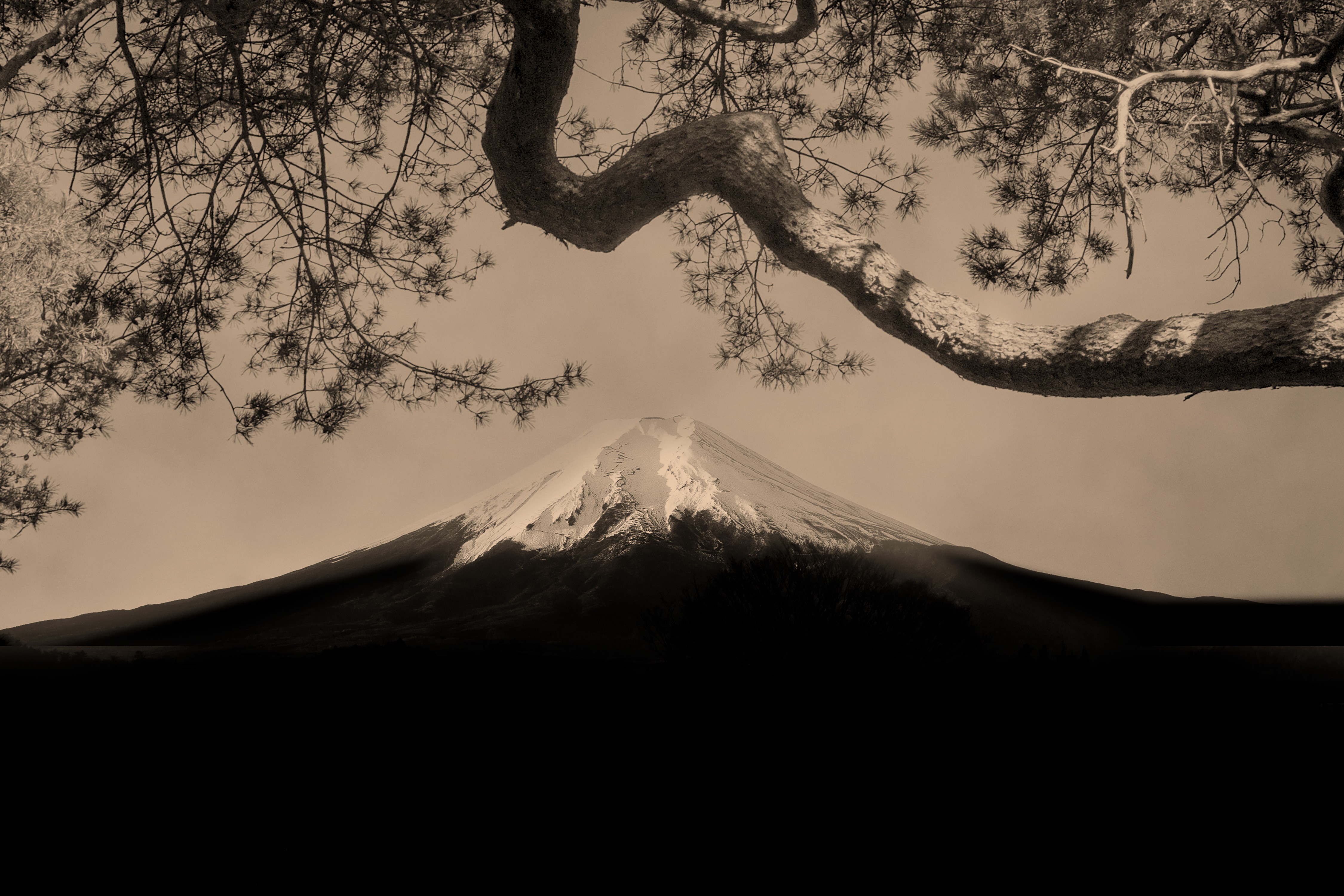 Гора Фудзи, 2019. Фотограф Пол Купидо