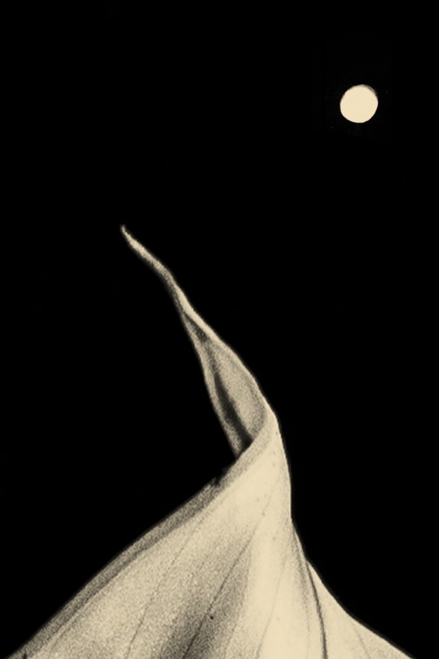 Лунная зависимость, 2018. Фотограф Пол Купидо