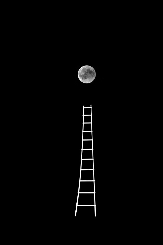 Лунная лестница, 2018. Фотограф Пол Купидо
