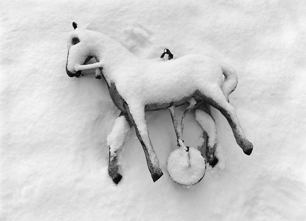 Лошадь в снегу, Швейцария, 2006. Фотограф Флор Гардуньо