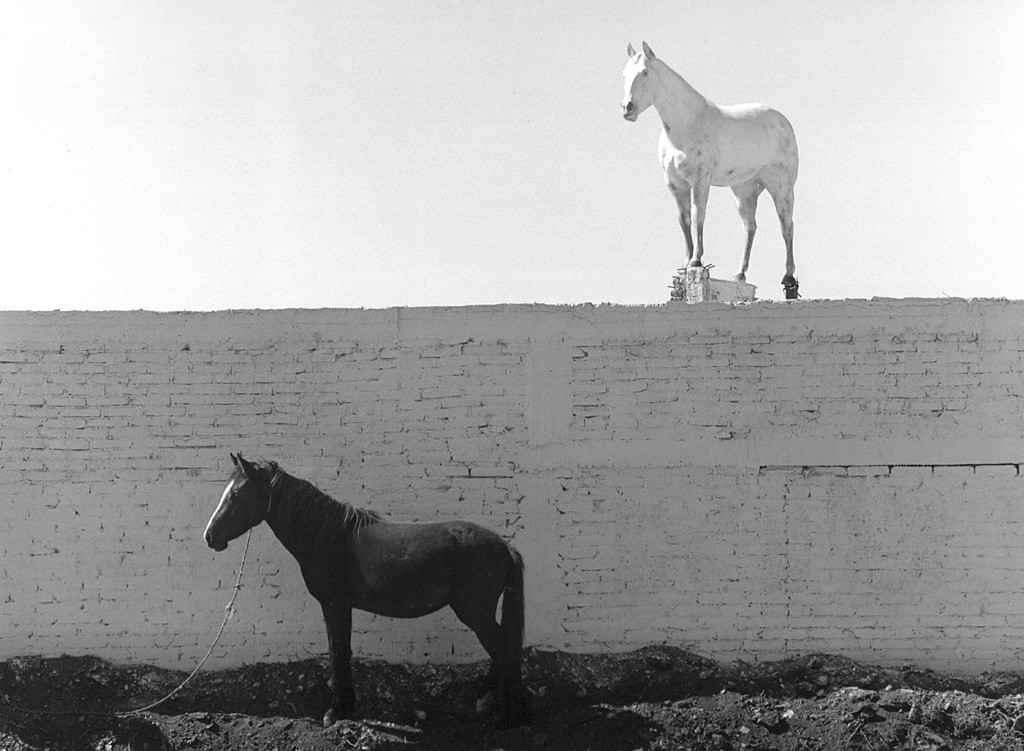 У деда была лошадь. Мексика, 1997. Фотограф Флор Гардуньо