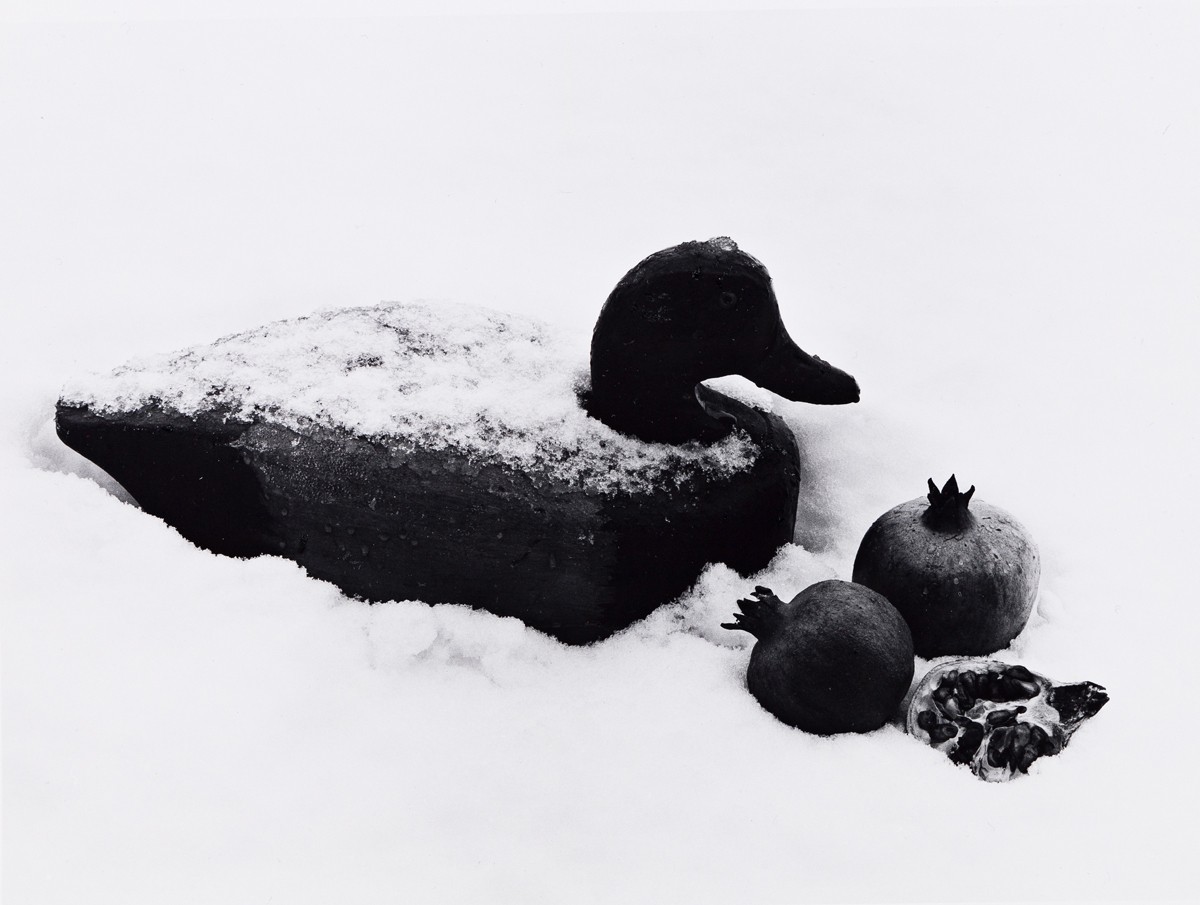 Утка с гранатами, 1996. Фотограф Флор Гардуньо
