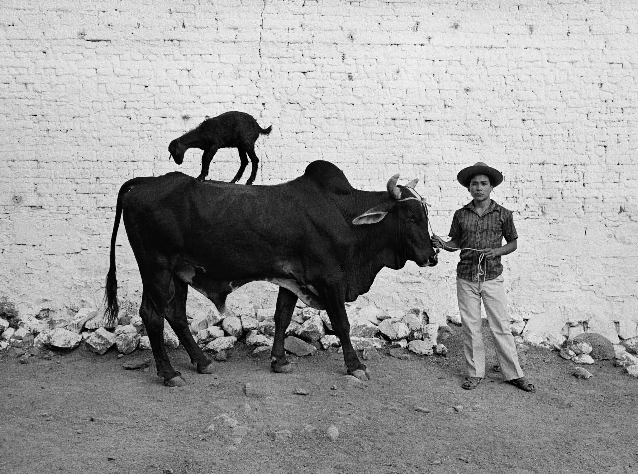 Мексика, 1987. Фотограф Флор Гардуньо