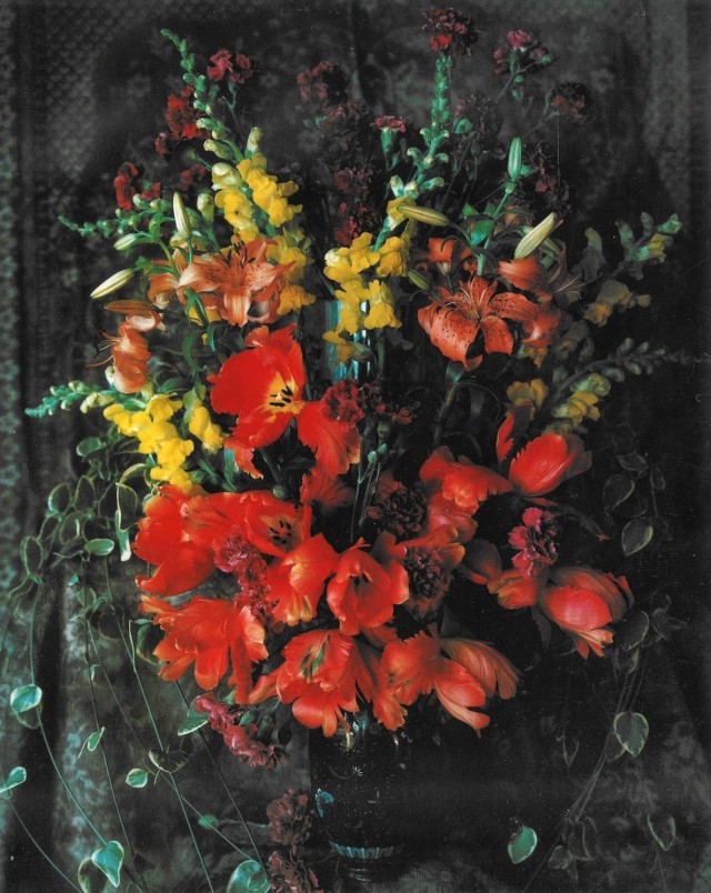 Тюльпаны и львиный зев.1976 год. Фотограф Мари Косиндас