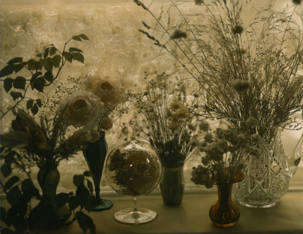 Цветок в окне, 1965 год. Фотограф Мари Косиндас