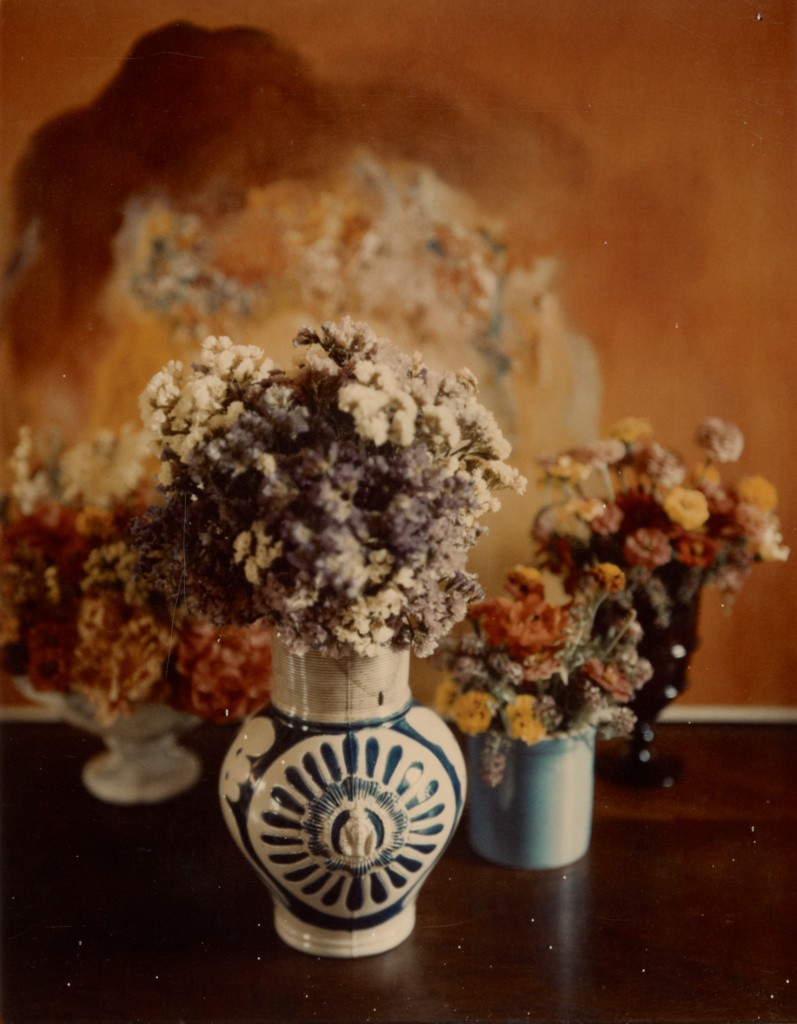 Миниатюрный цветочный, 1962-1963 год. Фотограф Мари Косиндас
