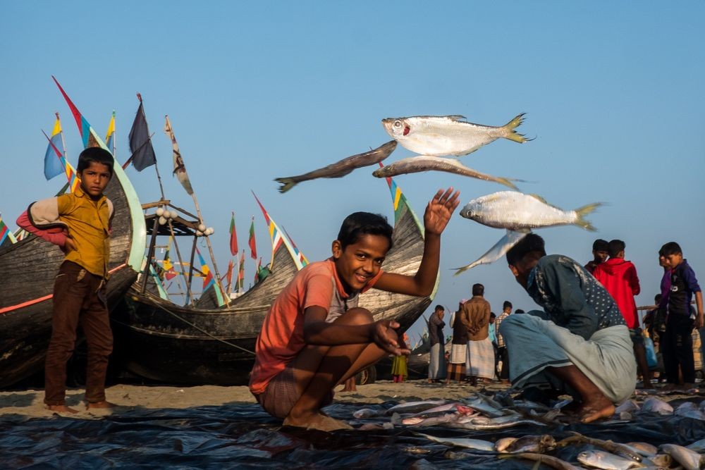 Выбор жюри, 2020. Летучая рыба. В рыбацкой деревне близ города Кокс-Базар, Бангладеш. Фотограф Макс Стерджен