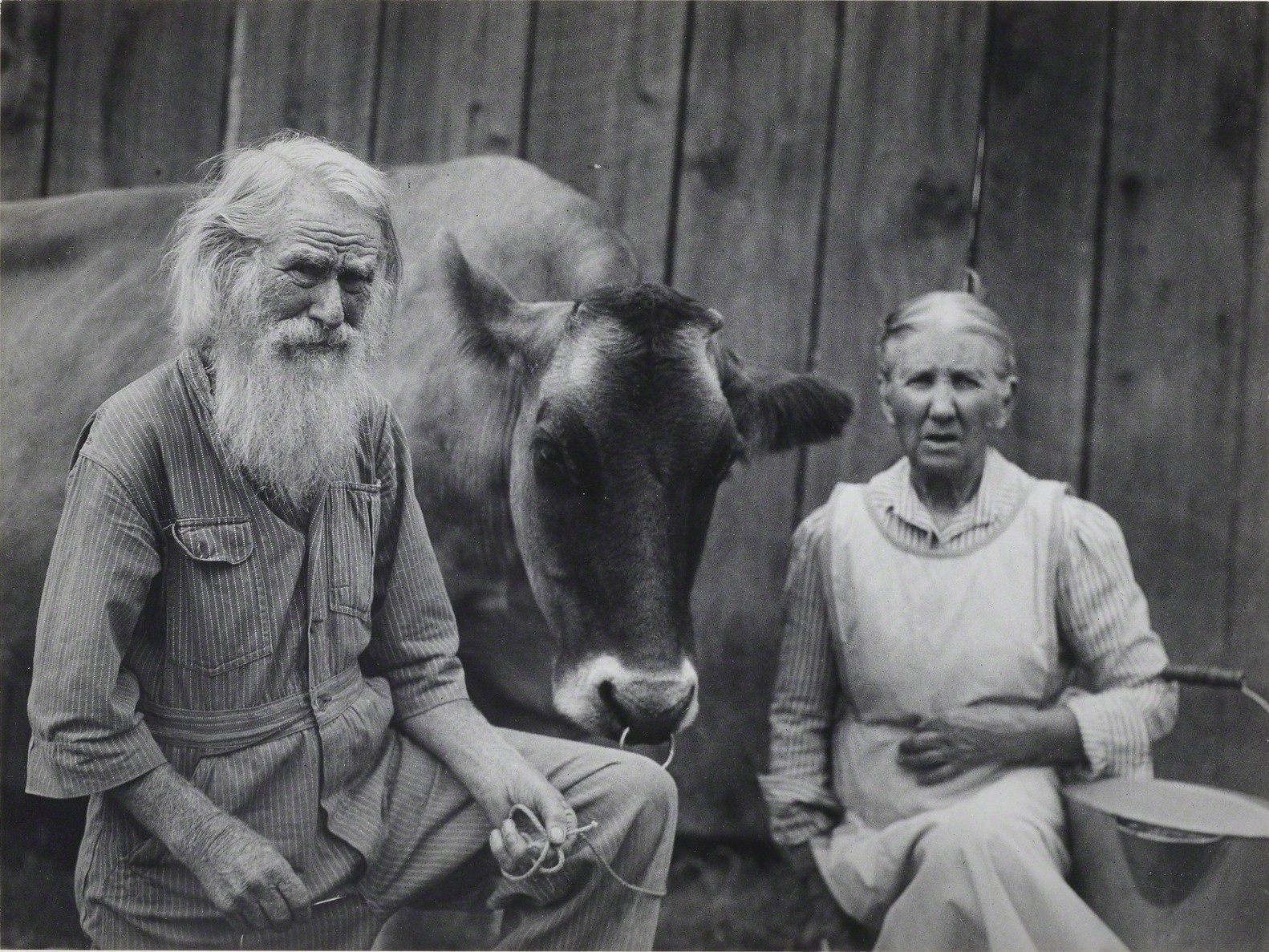 Мои отец с матерью и Босси, 1923. Фотограф Имоджен Каннингем