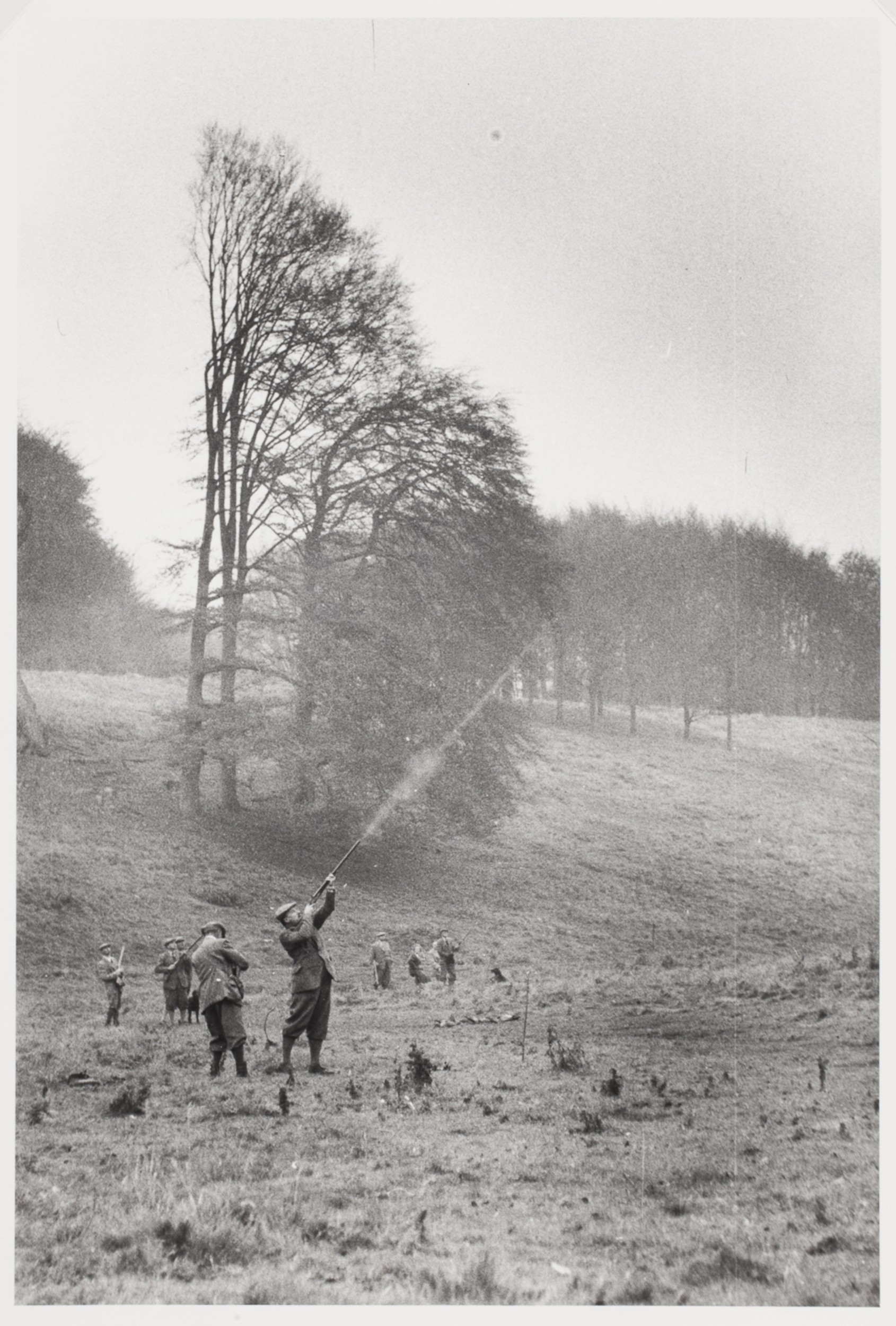 Граф Кадоган, охота на фазана. Бленхейм, Англия, 1956. Фотограф Тони (Антуанетта) Фрисселл